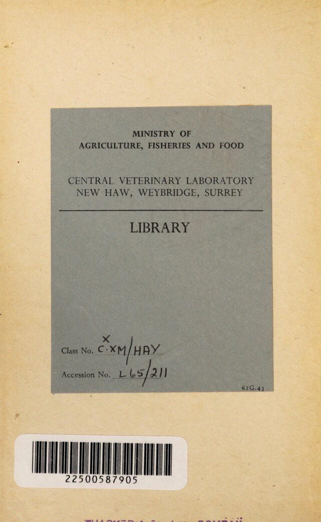 digitised image 2