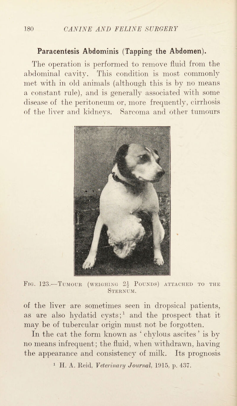 Paracentesis Abdominis (Tapping the Abdomen). The operation is performed to remove fluid from the abdominal cavity. This condition is most commonly met with in old animals (although this is by no means a constant rule), and is generally associated with some disease of the peritoneum or, more frequently, cirrhosis of the liver and kidneys. Sarcoma and other tumours Fig. 123.—Tumour, (weighing 24 Pounds) attached to the Sternum. of the liver are sometimes seen in dropsical patients, as are also hydatid cysts;1 and the prospect that it may be of tubercular origin must not be forgotten. In the cat the form known as ‘ chvlous ascites 5 is by no means infrequent; the fluid, when withdrawn, having the appearance and consistency of milk. Its prognosis 1 H. A. Reid, Veterinary Journal, 1915, p. 437.