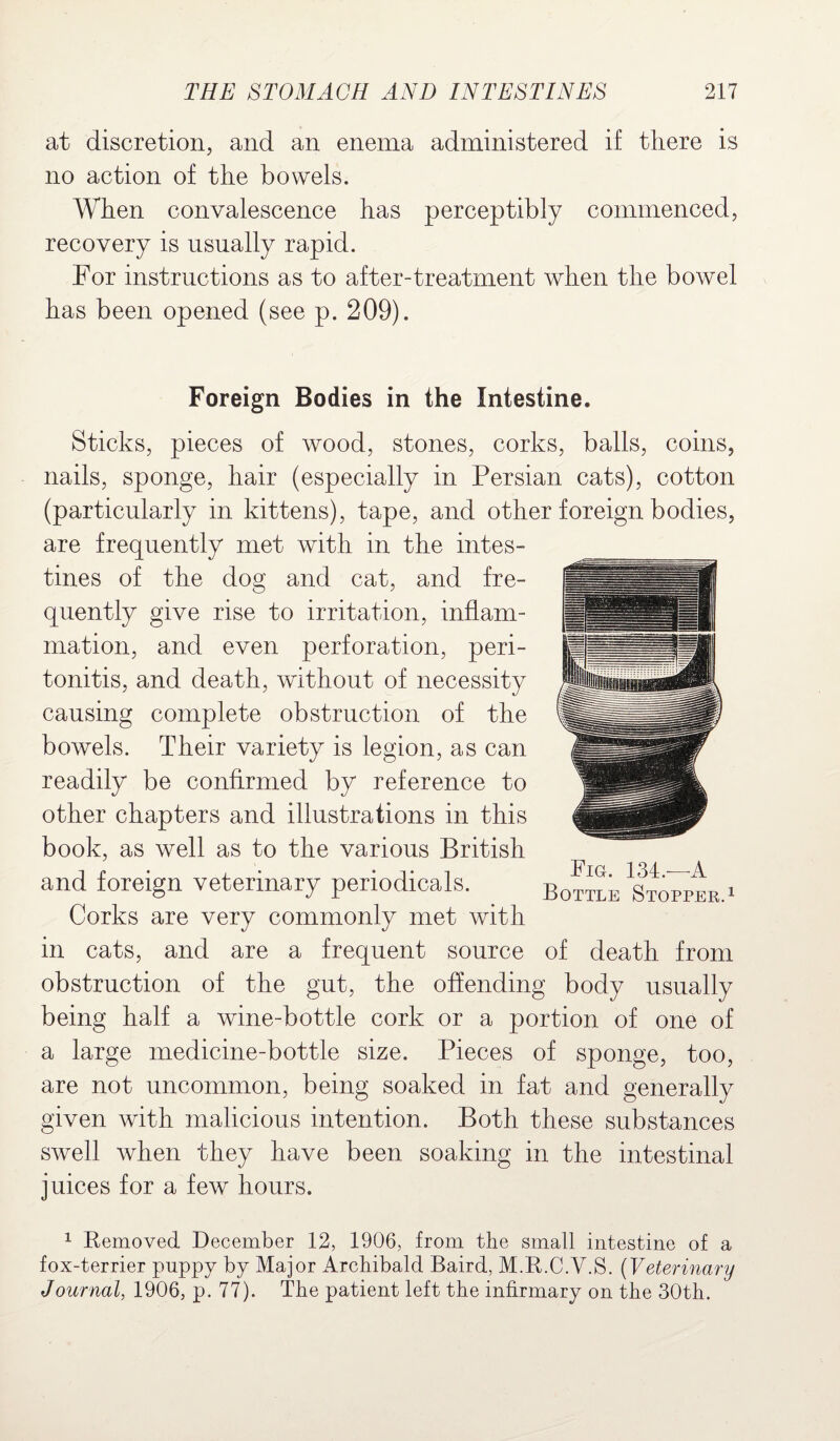 at discretion, and an enema administered if there is no action of the bowels. When convalescence has perceptibly commenced, recovery is usually rapid. For instructions as to after-treatment when the bowel has been opened (see p. 209). Foreign Bodies in the Intestine. Sticks, pieces of wood, stones, corks, balls, coins, nails, sponge, hair (especially in Persian cats), cotton (particularly in kittens), tape, and other foreign bodies, are frequently met with in the intes¬ tines of the dog and cat, and fre¬ quently give rise to irritation, inflam¬ mation, and even perforation, peri¬ tonitis, and death, without of necessity causing complete obstruction of the bowels. Their variety is legion, as can readily be confirmed by reference to other chapters and illustrations in this book, as well as to the various British and foreign veterinary periodicals. Corks are very commonly met with in cats, and are a frequent source of death from obstruction of the gut, the offending body usually being half a wine-bottle cork or a portion of one of a large medicine-bottle size. Pieces of sponge, too, are not uncommon, being soaked in fat and generally given with malicious intention. Both these substances swell when they have been soaking in the intestinal juices for a few hours. Fig. 134—A Bottle Stopper.1 1 Removed December 12, 1906, from the small intestine of a fox-terrier puppy by Major Archibald Baird, M.R.C.V.S. (Veterinary Journal, 1906, p. 77). The patient left the infirmary on the 30th.