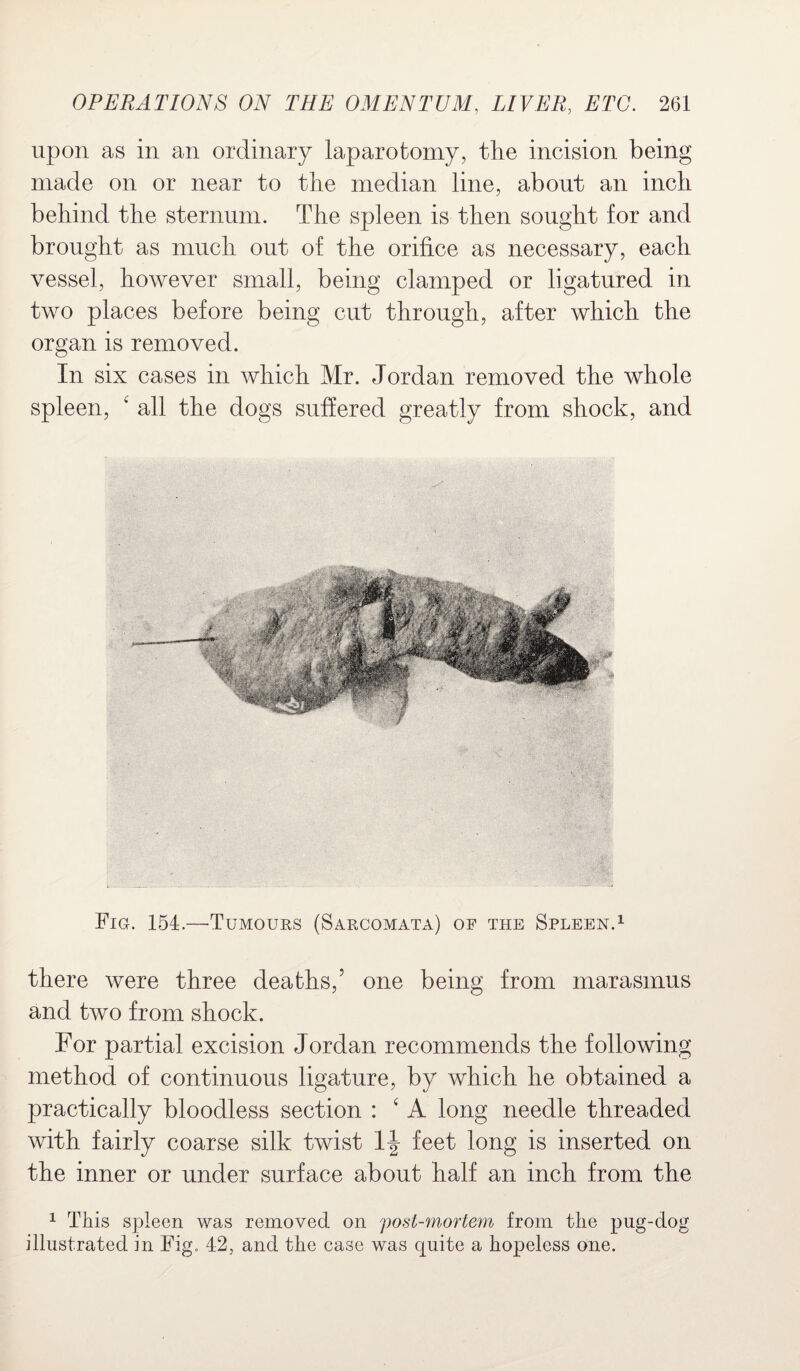 upon as in an ordinary laparotomy, the incision being made on or near to the median line, about an inch behind the sternum. The spleen is then sought for and brought as much out of the orifice as necessary, each vessel, however small, being clamped or ligatured in two places before being cut through, after which the organ is removed. In six cases in which Mr. Jordan removed the whole spleen, c all the dogs suffered greatly from shock, and Fig. 154.—Tumours (Sarcomata) op the Spleen.1 there were three deaths/ one being from marasmus and two from shock. For partial excision Jordan recommends the following method of continuous ligature, by which he obtained a practically bloodless section : ‘ A long needle threaded with fairly coarse silk twist 1-| feet long is inserted on the inner or under surface about half an inch from the 1 This spleen was removed on post-mortem from the pug-dog illustrated in Fig. 42, and the case was quite a hopeless one.