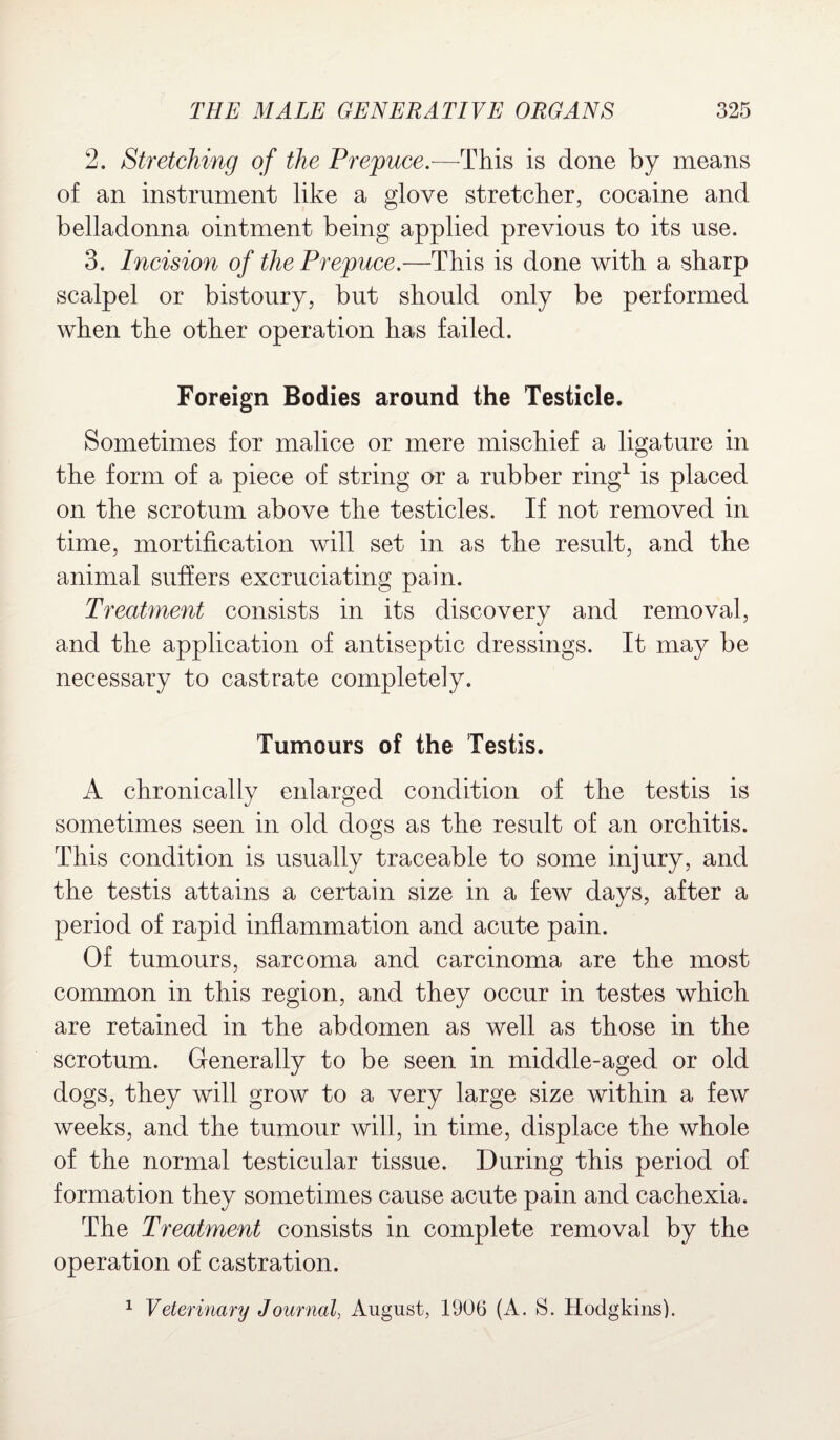 2. Stretching of the Prepuce.—This is done by means of an instrument like a glove stretcher, cocaine and belladonna ointment being applied previous to its use. 3. Incision of the Prepuce.—This is done with a sharp scalpel or bistoury, but should only be performed when the other operation has failed. Foreign Bodies around the Testicle. Sometimes for malice or mere mischief a ligature in the form of a piece of string or a rubber ring1 is placed on the scrotum above the testicles. If not removed in time, mortification will set in as the result, and the animal suffers excruciating pain. Treatment consists in its discovery and removal, and the application of antiseptic dressings. It may be necessary to castrate completely. Tumours of the Testis. A chronically enlarged condition of the testis is sometimes seen in old dogs as the result of an orchitis. This condition is usually traceable to some injury, and the testis attains a certain size in a few days, after a period of rapid inflammation and acute pain. Of tumours, sarcoma and carcinoma are the most common in this region, and they occur in testes which are retained in the abdomen as well as those in the scrotum. Generally to be seen in middle-aged or old dogs, they will grow to a very large size within a few weeks, and the tumour will, in time, displace the whole of the normal testicular tissue. During this period of formation they sometimes cause acute pain and cachexia. The Treatment consists in complete removal by the operation of castration. 1 Veterinary Journal, August, 1906 (A. S. Hodgkins).