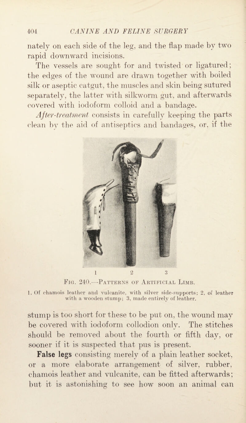 nately on each side of the leg, and the flap made by two rapid downward incisions. The vessels are sought for and twisted or ligatured; the edges of the wound are drawn together with boiled silk or aseptic catgut, the muscles and skin being sutured separately, the latter with silkworm gut, and afterwards covered with iodoform colloid and a bandage. After-treatment consists in carefully keeping the parts clean by the aid of antiseptics and bandages, or, if the Fig. 240.—Patterns of Artificial Limb. 1. Of chamois leather and vulcanite, with silver side-supports; 2. of leather with a wooden stump; 3, made entirely of leather. stump is too short for these to be put on, the wound may be covered with iodoform collodion only. The stitches should be removed about the fourth or fifth day, or sooner if it is suspected that pus is present. False legs consisting merely of a plain leather socket, or a more elaborate arrangement of silver, rubber, chamois leather and vulcanite, can be fitted afterwards; but it is astonishing to see how soon an animal can