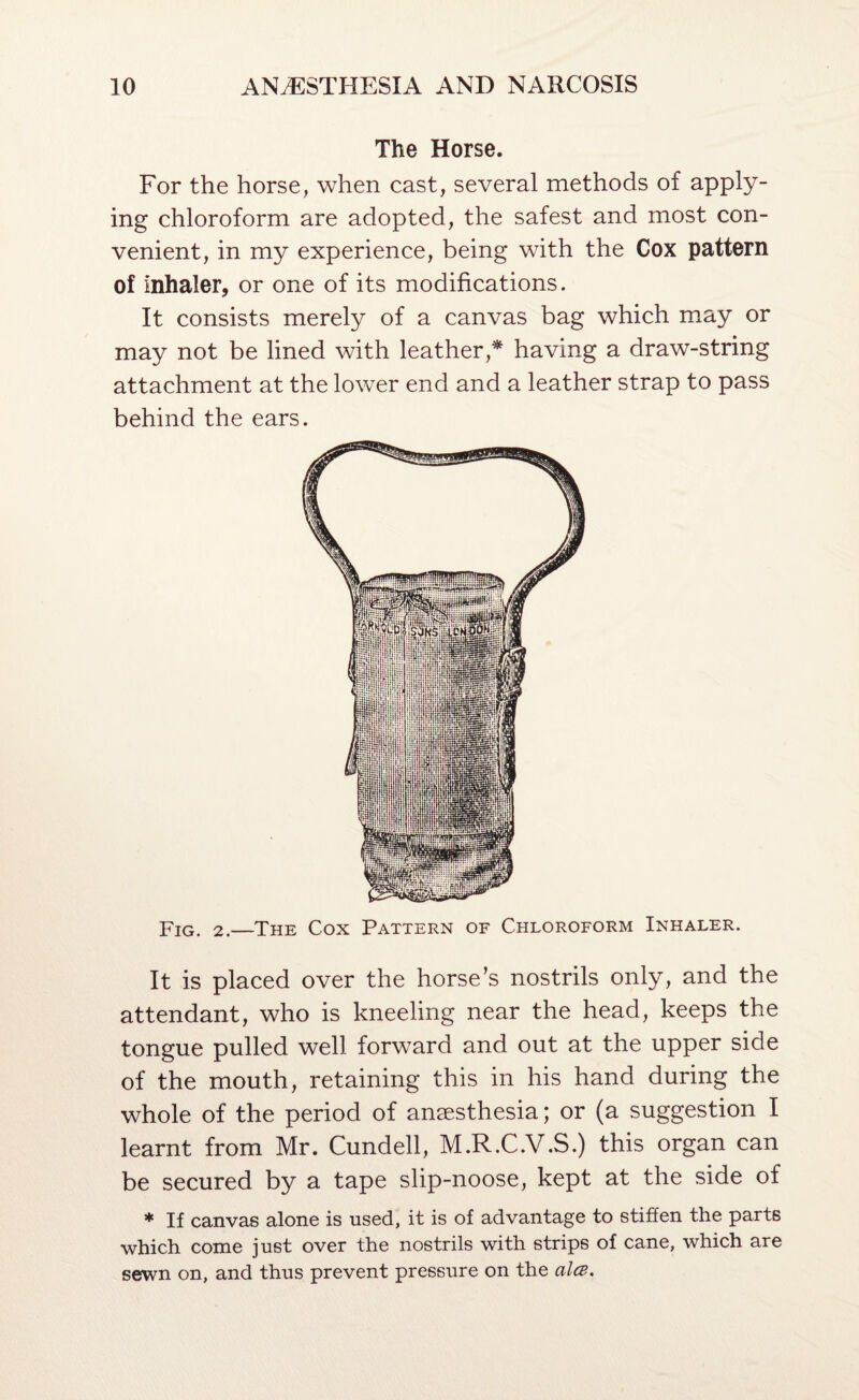 The Horse. For the horse, when cast, several methods of apply¬ ing chloroform are adopted, the safest and most con¬ venient, in my experience, being with the Cox pattern of inhaler, or one of its modifications. It consists merely of a canvas bag which may or may not be lined with leather,* having a draw-string attachment at the lower end and a leather strap to pass behind the ears. -piG. 2.—The Cox Pattern of Chloroform Inhaler. It is placed over the horse’s nostrils only, and the attendant, who is kneeling near the head, keeps the tongue pulled well forward and out at the upper side of the mouth, retaining this in his hand during the whole of the period of anaesthesia; or (a suggestion I learnt from Mr. Cundell, M.R.C.V.S.) this organ can be secured by a tape slip-noose, kept at the side of * If canvas alone is used, it is of advantage to stiffen the parts which come just over the nostrils with strips of cane, which are sewn on, and thus prevent pressure on the alee.