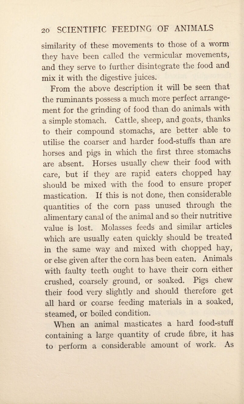 similarity of these movements to those of a worm they have been called the vermicular movements, and they serve to further disintegrate the food and mix it with the digestive juices. From the above description it will be seen that the ruminants possess a much more perfect arrange¬ ment for the grinding of food than do animals with a simple stomach. Cattle, sheep, and goats, thanks to their compound stomachs, are better able to utilise the coarser and harder food-stuffs than are horses and pigs in which the first three stomachs are absent. Horses usually chew their food with care, but if they are rapid eaters chopped hay should be mixed with the food to ensure proper mastication. If this is not done, then considerable quantities of the corn pass unused through the alimentary canal of the animal and so their nutritive value is lost. Molasses feeds and similar articles which are usually eaten quickly should be treated in the same way and mixed with chopped hay, or else given after the corn has been eaten. Animals with faulty teeth ought to have their corn either crushed, coarsely ground, or soaked. Pigs chew their food very slightly and should therefore get all hard or coarse feeding materials in a soaked, steamed, or boiled condition. When an animal masticates a hard food-stuff containing a large quantity of crude fibre, it has to perform a considerable amount of work. As