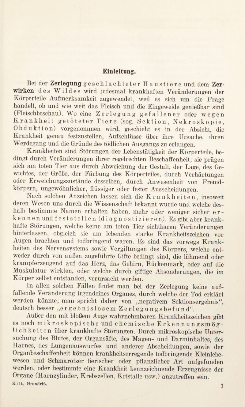 Einleitung. Bei der Zerlegung geschlachteter Haustiere und dem Zer- wirken des Wildes wird jedesmal krankhaften Veränderungen der Körperteile Aufmerksamkeit zugewendet, weil es sich um die Frage handelt, ob und wie weit das Fleisch und die Eingeweide genießbar sind (Fleischbeschau). Wo eine Zerlegung gefallener oder wegen Krankheit getöteter Tiere (sog. Sektion, Nekroskopie, Obduktion) vorgenommen wird, geschieht es in der Absicht, die Krankheit genau festzustellen, Aufschlüsse über ihre Ursache, ihren Werdegang und die Gründe des tödlichen Ausgangs zu erlangen. Krankheiten sind Störungen der Lebenstätigkeit der Körperteile, be¬ dingt durch Veränderungen ihrer regelrechten Beschaffenheit; sie prägen sich am toten Tier aus durch Abweichung der Gestalt, der Lage, des Ge¬ wichtes, der Größe, der Färbung des Körperteiles, durch Verhärtungen oder Erweichungszustände desselben, durch Anwesenheit von Fremd¬ körpern, ungewöhnlicher, flüssiger oder fester Ausscheidungen. Nach solchen Anzeichen lassen sich die Krankheiten, insoweit deren Wesen uns durch die Wissenschaft bekannt wurde und welche des¬ halb bestimmte Namen erhalten haben, mehr oder weniger sicher er¬ kennen und feststellen (diagnostizieren). Es gibt aber krank¬ hafte Störungen, welche keine am toten Tier sichtbaren Veränderungen hinterlassen, obgleich sie am lebenden starke Krankheitszeichen vor Augen brachten und todbringend waren. Es sind das vorwegs Krank¬ heiten des Nervensystems sowie Vergiftungen des Körpers, welche ent¬ weder durch von außen zugeführte Gifte bedingt sind, die lähmend oder krampferzeugend auf das Herz, das Gehirn, Bückenmark, oder auf die Muskulatur wirkten, oder welche durch giftige Absonderungen, die im Körper selbst entstanden, verursacht werden. In allen solchen Fällen findet man bei der Zerlegung keine auf¬ fallende Veränderung irgendeines Organes, durch welche der Tod erklärt werden könnte; man spricht daher von „negativem Sektionsergebnis“, deutsch besser „ergebnislosem Zerlegungsbefund“. Außer den mit bloßem Auge wahrnehmbaren Krankheitszeichen gibt es noch mikroskopische und chemische Erkennungsmög¬ lichkeiten über krankhafte Störungen. Durch mikroskopische Unter¬ suchung des Blutes, der Organsäfte, des Magen- und Darminhaltes, des Harnes, des Lungenauswurfes und anderer Abscheidungen, sowie der Organbeschaffenheit können krankheitserregende todbringende Kleinlebe¬ wesen und Schmarotzer tierischer oder pflanzlicher Art aufgefunden werden, oder bestimmte eine Krankheit kennzeichnende Erzeugnisse der Organe (Harnzylinder, Krebszellen, Kristalle usw.) anzutreffen sein. Kitt, Grundriß.