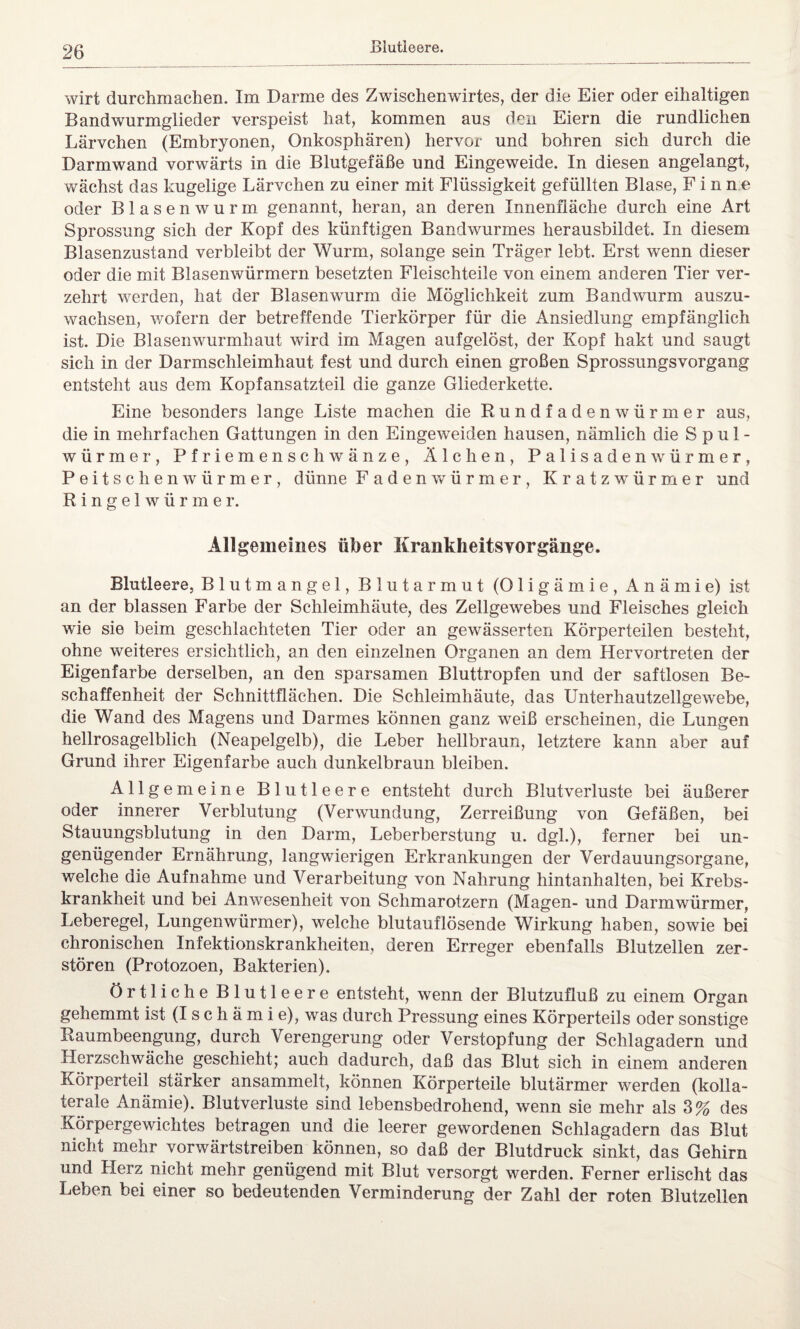 Blutleere. wirt durchmachen. Im Darme des Zwischenwirtes, der die Eier oder eihaltigen Bandwurmglieder verspeist hat, kommen aus den Eiern die rundlichen Lärvchen (Embryonen, Onkosphären) hervor und bohren sich durch die Darmwand vorwärts in die Blutgefäße und Eingeweide. In diesen angelangt, wächst das kugelige Lärvchen zu einer mit Flüssigkeit gefüllten Blase, Finne oder Blasenwurm genannt, heran, an deren Innenfläche durch eine Art Sprossung sich der Kopf des künftigen Bandwurmes herausbildet. In diesem Blasenzustand verbleibt der Wurm, solange sein Träger lebt. Erst wenn dieser oder die mit Blasenwürmern besetzten Fleischteile von einem anderen Tier ver¬ zehrt werden, hat der Blasenwurm die Möglichkeit zum Bandwurm auszu¬ wachsen, wofern der betreffende Tierkörper für die Ansiedlung empfänglich ist. Die Blasenwurmhaut wird im Magen aufgelöst, der Kopf hakt und saugt sich in der Darmschleimhaut fest und durch einen großen Sprossungsvorgang entsteht aus dem Kopfansatzteil die ganze Gliederkette. Eine besonders lange Liste machen die Rundfadenwürmer aus, die in mehrfachen Gattungen in den Eingeweiden hausen, nämlich die Spul¬ würmer, Pf riemenschwänze, Älchen, Palisaden würmer, Peitschenwürmer, dünne Faden würmer, Kratz würmer und R i n g e 1 w ü r m e r. Allgemeines über Kranklieitsvorgäiige. Blutleere, Blutmangel, Blutarmut (Oligämie, Anämie) ist an der blassen Farbe der Schleimhäute, des Zellgewebes und Fleisches gleich wie sie beim geschlachteten Tier oder an gewässerten Körperteilen besteht, ohne weiteres ersichtlich, an den einzelnen Organen an dem Hervortreten der Eigenfarbe derselben, an den sparsamen Bluttropfen und der saftlosen Be¬ schaffenheit der Schnittflächen. Die Schleimhäute, das Unterhautzellgewebe, die Wand des Magens und Darmes können ganz weiß erscheinen, die Lungen hellrosagelblich (Neapelgelb), die Leber hellbraun, letztere kann aber auf Grund ihrer Eigenfarbe auch dunkelbraun bleiben. Allgemeine Blutleere entsteht durch Blutverluste bei äußerer oder innerer Verblutung (Verwundung, Zerreißung von Gefäßen, bei Stauungsblutung in den Darm, Leberberstung u. dgl.), ferner bei un¬ genügender Ernährung, langwierigen Erkrankungen der Verdauungsorgane, welche die Aufnahme und Verarbeitung von Nahrung hintanhalten, bei Krebs¬ krankheit und bei Anwesenheit von Schmarotzern (Magen- und Darmwürmer, Leberegel, Lungenwürmer), welche blutauflösende Wirkung haben, sowie bei chronischen Infektionskrankheiten, deren Erreger ebenfalls Blutzelien zer¬ stören (Protozoen, Bakterien). örtliche Blutleere entsteht, wenn der Blutzufluß zu einem Organ gehemmt ist (Ischämie), was durch Pressung eines Körperteils oder sonstige Raumbeengung, durch Verengerung oder Verstopfung der Schlagadern und Herzschwäche geschieht; auch dadurch, daß das Blut sich in einem anderen Körperteil stärker ansammelt, können Körperteile blutärmer werden (kolla- terale Anämie). Blutverluste sind lebensbedrohend, wenn sie mehr als 3% des Körpergewichtes betragen und die leerer gewordenen Schlagadern das Blut nicht mehr vorwärtstreiben können, so daß der Blutdruck sinkt, das Gehirn und Herz nicht mehr genügend mit Blut versorgt werden. Ferner erlischt das Leben bei einer so bedeutenden Verminderung der Zahl der roten Blutzellen