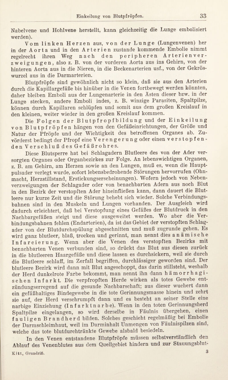 Nabelvene und Hohlvene herstellt, kann gleichzeitig die Lunge embolisiert werden). Vom linken Herzen aus, von der Lunge (Lungenvenen) her in der Aorta und in den Arterien zustande kommende Embolie nimmt regelrecht ihren Weg nach den peripheren Arterienver¬ zweigungen, also z. B. von der vorderen Aorta aus ins Gehirn, von der hinteren Aorta aus in die Nieren, in die Beckenarterien usf., von der Gekrös- wurzel aus in die Darmarterien. Blutpfröpfe sind gewöhnlich nicht so klein, daß sie aus den Arterien durch die Kapillargefäße bis hinüber in die Venen fortbewegt werden könnten, daher bleiben Emboli aus der Lungenarterie in den Ästen dieser bzw. in der Lunge stecken, andere Emboli indes, z. B. winzige Parasiten, Spaltpilze, können durch Kapillaren schlüpfen und somit aus dem großen Kreislauf in den kleinen, weiter wieder in den großen Kreislauf kommen. Die Folgen der Blutpfropfbildung und der Einkeilung von Blutpfröpfen hängen von den Gefäßeinrichtungen, der Größe und Natur der Pfropfe und der Wichtigkeit des betroffenen Organes ab. Zu¬ vörderst bedingt der Pfropf eine Verengerung oder einen verstopfen¬ den Verschluß des Gefäßrohres. Diese Blutsperre hat bei Schlagadern Blutleere des von der Ader ver¬ sorgten Organes oder Organbezirkes zur Folge. An lebenswichtigen Organen, z. B. am Gehirn, am Herzen sowie an den Lungen, muß es, wenn die Haupt¬ pulsader verlegt wurde, sofort lebensbedrohende Störungen hervorrufen (Ohn¬ macht, Herzstillstand, Erstickungserscheinungen). Wofern jedoch von Neben¬ verzweigungen der Schlagader oder von benachbarten Adern aus noch Blut in den Bezirk der verstopften Ader hineinfließen kann, dann dauert die Blut¬ leere nur kurze Zeit und die Störung behebt sich wieder. Solche Verbindungs¬ bahnen sind in den Muskeln und Lungen vorhanden. Der Ausgleich wird dadurch erleichtert, daß bei Verstopfung eines Gefäßes der Blutdruck in den Nachbargefäßen steigt und diese ausgeweitet werden. Wo aber die Ver¬ bindungsbahnen fehlen (Endarterien), da ist das Gebiet der verstopften Schlag¬ ader von der Blutdurchspülung abgeschnitten und muß zugrunde gehen. Es wird ganz blutleer, blaß, trocken und gerinnt, man nennt dies anämische Infarcierung. Wenn aber die Venen des verstopften Bezirks mit benachbarten Venen verbunden sind, so drückt das Blut aus diesen zurück in die blutleeren Haargefäße und diese lassen es durchsickern, weil sie durch die Blutleere schlaff, im Zerfall begriffen, durchlässiger geworden sind. Der blutleere Bezirk wird dann mit Blut angeschoppt, das darin stillsteht, weshalb der Herd dunkelrote Farbe bekommt, man nennt ihn dann hämorrhagi¬ schen Infarkt. Die verpfropften Herde wirken als totes Gewebe ent¬ zündungserregend auf die gesunde Nachbarschaft; aus dieser wuchert dann ein gefäßhaltiges Bindegewebe in die tote Gerinnungsmasse hinein und zehrt sie auf, der Herd verschrumpft dann und es besteht an seiner Stelle eine narbige Einziehung (Infarktnarbe). Wenn in den toten Gerinnungsherd Spaltpilze eingelangen, so wird derselbe in Fäulnis übergehen, einen fauligen Brandherd bilden. Solches geschieht regelmäßig bei Embolie der Darmschleimhaut, weil im Darminhalt Unmengen von Fäulnispilzen sind, welche das tote blutdurchtränkte Gewebe alsbald besiedeln. In den Venen entstandene Blutpfröpfe müssen selbstverständlich den Ablauf des Venenblutes aus dem Quellgebiet hindern und zur Stauungsblut- 3 Kitt, Grundriß.