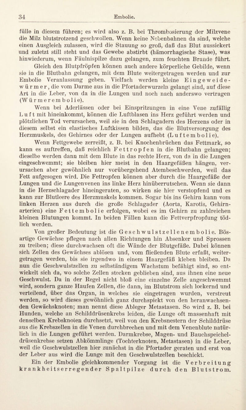 fülle in diesem führen; es wird also z. B. bei Thrombosierung der Milzvene die Milz blutstrotzend geschwollen. Wenn keine Nebenbahnen da sind, welche einen Ausgleich zulassen, wird die Stauung so groß, daß das Blut aussickert und zuletzt still steht und das Gewebe abstirbt (hämorrhagische Stase), was hinwiederum, wenn Fäulnispilze dazu gelangen, zum feuchten Brande führt. Gleich den Blutpfröpfen können auch andere körperliche Gebilde, wenn sie in die Blutbahn gelangen, mit dem Blute weitergetragen werden und zur Embolie Veranlassung geben. Vielfach werden kleine Eingeweide¬ würmer, die vom Darme aus in die Pfortaderwurzeln gelangt sind, auf diese Art in die Leber, von da in die Lungen und noch nach anderswo vertragen (W ürmerembolie). Wenn bei Aderlässen oder bei Einspritzungen in eine Vene zufällig L u f t mit hineinkommt, können die Luftblasen ins Herz geführt werden und plötzlichen Tod verursachen, weil sie in den Schlagadern des Herzens oder in diesem selbst ein elastisches Luftkissen bilden, das die Blutversorgung des Herzmuskels, des Gehirnes oder der Lungen aufhebt (Luftembolie). Wenn Fettgewebe zerreißt, z. B. bei Knochenbrüchen das Fettmark, so kann es auftreffen, daß reichlich Fettropfen in die Blutbahn gelangen; dieselbe werden dann mit dem Blute in das rechte Herz, von da in die Lungen eingeschwemmt; sie bleiben hier meist in den Haargefäßen hängen, ver¬ ursachen aber gewöhnlich nur vorübergehend Atembeschwerden, weil das Fett aufgesogen wird. Die Fettropfen können aber durch die Haargefäße der Lungen und die Lungenvenen ins linke Herz hinüberrutschen. Wenn sie dann in die Herzschlagader hineingeraten, so wirken sie hier verstopfend und es kann zur Blutleere des Herzmuskels kommen. Sogar bis ins Gehirn kann vom linken Herzen aus durch die große Schlagader (Aorta, Karotis, Gehirn¬ arterien) eine Fettembolie erfolgen, wobei es im Gehirn zu zahlreichen kleinen Blutungen kommt. In beiden Fällen kann die Fettverpfropfung töd¬ lich werden. Von großer Bedeutung ist die Geschwulstzellenembolie. Bös¬ artige Gewächse pflegen nach allen Richtungen hin Absenker und Sprossen zu treiben; diese durchwachsen oft die Wände der Blutgefäße. Dabei können sich Zellen des Gewächses ablösen und, vom fließenden Blute erfaßt, weiter¬ getragen werden, bis sie irgendwo in einem Haargefäß kleben bleiben. Da nun die Geschwulstzellen zu selbständigem Wachstum befähigt sind, so ent¬ wickelt sich da, wo solche Zellen stecken geblieben sind, aus ihnen eine neue Geschwulst. Da in der Regel nicht bloß eine einzelne Zelle angeschwemmt wird, sondern ganze Haufen Zellen, die dann, im Blutstrom sich lockernd und verteilend, über das Organ, in welches sie eingetragen wurden, verstreut werden, so wird dieses gewöhnlich ganz durchspickt von den heranwachsen- den Gewächsknoten; man nennt diese Ableger Metastasen. So wird z. B. bei Hunden, welche an Schilddrüsenkrebs leiden, die Lunge oft massenhaft mit denselben Krebsknoten durchsetzt, weil von den Krebsnestern der Schilddrüse aus die Krebszellen in die Venen durchbrechen und mit dem Venenblute natür¬ lich in die Lungen geführt werden. Darmkrebse, Magen- und Bauchspeichel¬ drüsenkrebse setzen Abkömmlinge (Tochterknoten, Metastasen) in die Leber, weil die Geschwulstzellen hier zunächst in die Pfortader geraten und erst von der Leber aus wird die Lunge mit den Geschwulstzellen beschickt. Ein der Embolie gleichkommender Vorgang ist die Verbreitung krankheitserregender Spaltpilze durch den Blutstrom..