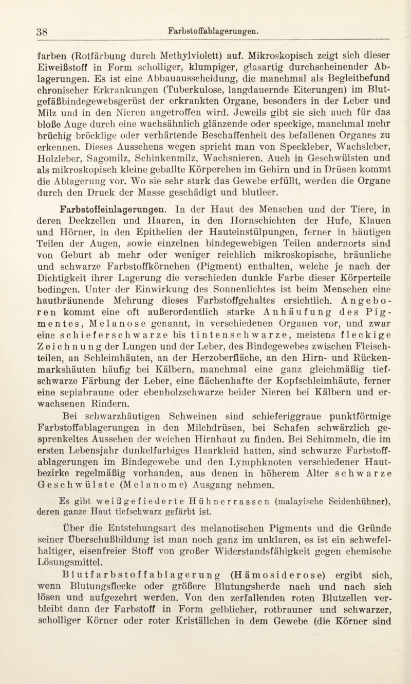 färben (Rotfärbung durch Methylviolett) auf. Mikroskopisch zeigt sich dieser Eiweißstoff in Form scholliger, klumpiger, glasartig durchscheinender Ab¬ lagerungen. Es ist eine Abbauausscheidung, die manchmal als Begleitbefund chronischer Erkrankungen (Tuberkulose, langdauernde Eiterungen) im Blut- gefäßbindegewebsgerüst der erkrankten Organe, besonders in der Leber und Milz und in den Nieren angetroffen wird. Jeweils gibt sie sich auch für das bloße Auge durch eine wachsähnlich glänzende oder speckige, manchmal mehr brüchig bröcklige oder verhärtende Beschaffenheit des befallenen Organes zu erkennen. Dieses Aussehens wegen spricht man von Speckleber, Wachsleber, Holzleber, Sagomilz, Schinkenmilz, Wachsnieren. Auch in Geschwülsten und als mikroskopisch kleine geballte Körperchen im Gehirn und in Drüsen kommt die Ablagerung vor. Wo sie sehr stark das Gewebe erfüllt, werden die Organe durch den Druck der Masse geschädigt und blutleer. Farbstoffeinlagerungen. In der Haut des Menschen und der Tiere, in deren Deckzellen und Haaren, in den Hornschichten der Hufe, Klauen und Hörner, in den Epithelien der Hauteinstülpungen, ferner in häutigen Teilen der Augen, sowie einzelnen bindegewebigen Teilen andernorts sind von Geburt ab mehr oder weniger reichlich mikroskopische, bräunliche und schwarze Farbstoffkörnchen (Pigment) enthalten, welche je nach der Dichtigkeit ihrer Lagerung die verschieden dunkle Farbe dieser Körperteile bedingen. Unter der Einwirkung des Sonnenlichtes ist beim Menschen eine hautbräunende Mehrung dieses Farbstoffgehaltes ersichtlich. Angebo¬ ren kommt eine oft außerordentlich starke Anhäufung des Pig¬ mentes, Melanose genannt, in verschiedenen Organen vor, und zwar eine schieferschwarze bis tintenschwarze, meistens fleckige Zeichnung der Lungen und der Leber, des Bindegewebes zwischen Fleisch¬ teilen, an Schleimhäuten, an der Herzoberfläche, an den Hirn- und Rücken¬ markshäuten häufig bei Kälbern, manchmal eine ganz gleichmäßig tief¬ schwarze Färbung der Leber, eine flächenhafte der Kopfschleimhäute, ferner eine sepiabraune oder ebenholzschwarze beider Nieren bei Kälbern und er¬ wachsenen Rindern. Bei schwarzhäutigen Schweinen sind schieferiggraue punktförmige Farbstoffablagerungen in den Milchdrüsen, bei Schafen schwärzlich ge¬ sprenkeltes Aussehen der weichen Hirnhaut zu finden. Bei Schimmeln, die im ersten Lebensjahr dunkelfarbiges Haarkleid hatten, sind schwarze Farbstoff¬ ablagerungen im Bindegewebe und den Lymphknoten verschiedener Haut¬ bezirke regelmäßig vorhanden, aus denen in höherem Alter schwarze Geschwülste (Melanome) Ausgang nehmen. Es gibt weißgefiederte Hühnerrassen (malayische Seidenhühner), deren ganze Haut tiefschwarz gefärbt ist. Über die Entstehungsart des melanotischen Pigments und die Gründe seiner Überschußbildung ist man noch ganz im unklaren, es ist ein schwefel¬ haltiger, eisenfreier Stoff von großer Widerstandsfähigkeit gegen chemische Lösungsmittel. Blutfarbstoffablagerung (Hämosiderose) ergibt sich, wenn Blutungsflecke oder größere Blutungsherde nach und nach sich lösen und aufgezehrt werden. Von den zerfallenden roten Blutzellen ver¬ bleibt dann der Farbstoff in Form gelblicher, rotbrauner und schwarzer, scholliger Körner oder roter Kriställchen in dem Gewebe (die Körner sind