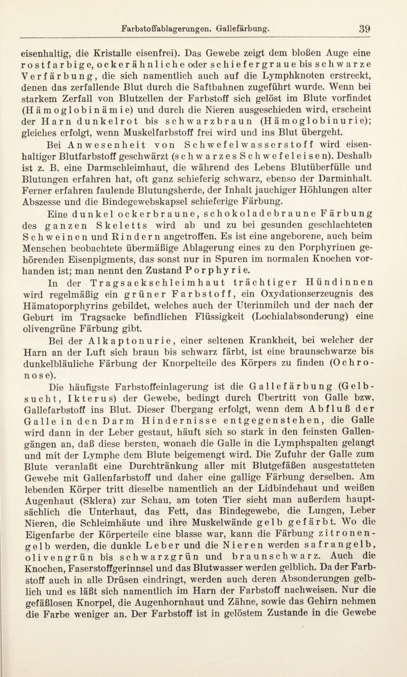 eisenhaltig, die Kristalle eisenfrei). Das Gewebe zeigt dem bloßen Auge eine rostfarbige, ockerähnliche oder schiefergraue bis schwarze Verfärbung, die sich namentlich auch auf die Lymphknoten erstreckt, denen das zerfallende Blut durch die Saftbahnen zugeführt wurde. Wenn bei starkem Zerfall von Blutzellen der Farbstoff sich gelöst im Blute vorfindet (Hämoglobinämie) und durch die Nieren ausgeschieden wird, erscheint der Harn dunkelrot bis schwarzbraun (Hämoglobinurie); gleiches erfolgt, wenn Muskelfarbstoff frei wird und ins Blut übergeht. Bei Anwesenheit von Schwefelwasserstoff wird eisen¬ haltiger Blutfarbstoff geschwärzt (schwarzes Schwefeleisen). Deshalb ist z. B. eine Darmschleimhaut, die während des Lebens Blutüberfülle und Blutungen erfahren hat, oft ganz schieferig schwarz, ebenso der Darminhalt. Ferner erfahren faulende Blutungsherde, der Inhalt jauchiger Höhlungen alter Abszesse und die Bindegewebskapsel schieferige Färbung. Eine dunkel ockerbraune, schokoladebraune Färbung des ganzen Skeletts wird ab und zu bei gesunden geschlachteten Schweinen und Rindern angetroffen. Es ist eine angeborene, auch beim Menschen beobachtete übermäßige Ablagerung eines zu den Porphyrinen ge¬ hörenden Eisenpigments, das sonst nur in Spuren im normalen Knochen vor¬ handen ist; man nennt den Zustand Porphyrie. In der Tragsackschleimhaut trächtiger Hündinnen wird regelmäßig ein grüner Farbstoff, ein Oxydationserzeugnis des Hämatoporphyrins gebildet, welches auch der Uterinmilch und der nach der Geburt im Tragsacke befindlichen Flüssigkeit (Lochialabsonderung) eine olivengrüne Färbung gibt. Bei der Alkaptonurie, einer seltenen Krankheit, bei welcher der Harn an der Luft sich braun bis schwarz färbt, ist eine braunschwarze bis dunkelbläuliche Färbung der Knorpelteile des Körpers zu finden (Ochro¬ nose). Die häufigste Farbstoffeinlagerung ist die G a 11 ef ä r bung (Gelb¬ sucht, Ikterus) der Gewebe, bedingt durch Übertritt von Galle bzw, Gallefarbstoff ins Blut. Dieser Übergang erfolgt, wenn dem Abfluß der Galle in den Darm Hindernisse entgegenstehen, die Galle wird dann in der Leber gestaut, häuft sich so stark in den feinsten Gallen¬ gängen an, daß diese bersten, wonach die Galle in die Lymphspalten gelangt und mit der Lymphe dem Blute beigemengt wird. Die Zufuhr der Galle zum Blute veranlaßt eine Durchtränkung aller mit Blutgefäßen ausgestatteten Gewebe mit Gallenfarbstoff und daher eine gallige Färbung derselben. Am lebenden Körper tritt dieselbe namentlich an der Lidbindehaut und weißen Augenhaut (Sklera) zur Schau, am toten Tier sieht man außerdem haupt¬ sächlich die Unterhaut, das Fett, das Bindegewebe, die Lungen, Leber Nieren, die Schleimhäute und ihre Muskelwände gelb gefärbt. Wo die Eigenfarbe der Körperteile eine blasse war, kann die Färbung zitronen¬ gelb werden, die dunkle Leber und die Nieren werden safrangelb, olivengrün bis schwarzgrün und braunschwarz. Auch die Knochen, Faserstoffgerinnsel und das Blutwasser werden gelblich. Da der Farb¬ stoff auch in alle Drüsen eindringt, werden auch deren Absonderungen gelb¬ lich und es läßt sich namentlich im Harn der Farbstoff nachweisen. Nur die gefäßlosen Knorpel, die Augenhornhaut und Zähne, sowie das Gehirn nehmen die Farbe weniger an. Der Farbstoff ist in gelöstem Zustande in die Gewebe