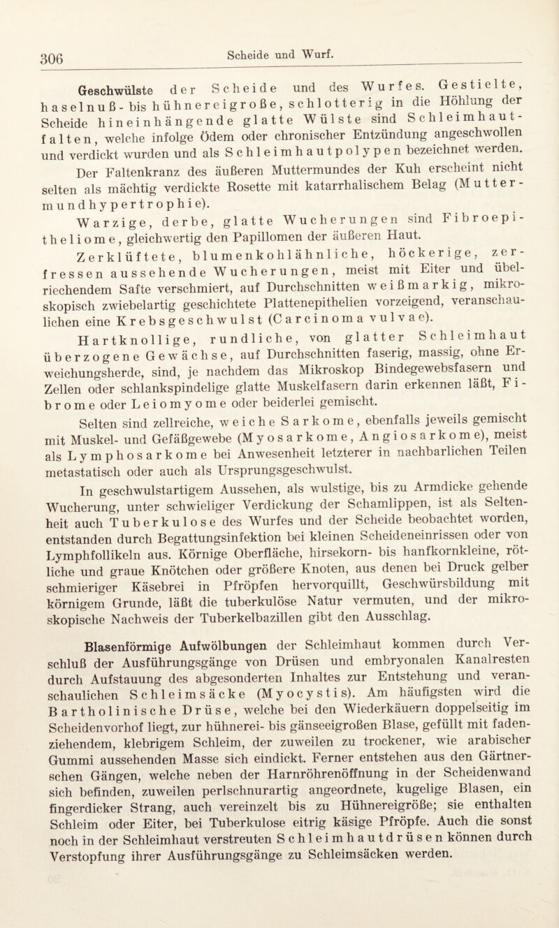 Geschwülste der Scheide und des Wurfes. Gestielte, _ . . . • 1 • TT'-'U__ Fl ^ Gestielte, und verdickt wurden und als Schleimhautpolypen bezeichnet werden. Der Faltenkranz des äußeren Muttermundes der Kuh erscheint nicht selten als mächtig verdickte Rosette mit katarrhalischem Belag (Mutter- mundhypertrophie). Warzige, derbe, glatte Wucherungen sind Fibroepi- t h e 1 i o m e , gleichwertig den Papillomen der äußeren Haut. Zerklüftete, blumenkohlähnliche, höckerige, zer¬ fressen aussehende Wucherungen, meist mit Eiter und übel¬ riechendem Safte verschmiert, auf Durchschnitten weißmarkig, mikro¬ skopisch zwiebelartig geschichtete Plattenepithelien vorzeigend, veranschau¬ lichen eine Krebsgeschwulst (Carcinoma vulvae). Hartknollige, rundliche, von glatter Schleimhaut überzogene Gewächse, auf Durchschnitten faserig, massig, ohne Er¬ weichungsherde, sind, je nachdem das Mikroskop Bindegewebsfasern und Zellen oder schlankspindelige glatte Muskelfasern darin erkennen läßt, F i - b r o m e oder Leiomyome oder beiderlei gemischt. Selten sind zellreiche, weiche Sarkome, ebenfalls jeweils gemischt mit Muskel- und Gefäßgewebe (Myosarkome, Angiosarkome), meist als Lymphosarkome bei Anwesenheit letzterer in nachbarlichen Teilen metastatisch oder auch als Ursprungsgeschwulst. In geschwulstartigem Aussehen, als wulstige, bis zu Armdicke gehende Wucherung, unter sclrwieliger Verdickung der Schamlippen, ist als Selten¬ heit auch Tuberkulose des Wurfes und der Scheide beobachtet worden, entstanden durch Begattungsinfektion bei kleinen Scheideneinrissen oder von Lymphfollikeln aus. Körnige Oberfläche, hirsekorn- bis hanfkornkleine, röt¬ liche und graue Knötchen oder größere Knoten, aus denen bei Druck gelber schmieriger Käsebrei in Pfropfen hervorquillt, Geschwürsbildung mit körnigem Grunde, läßt die tuberkulöse Natur vermuten, und der mikro¬ skopische Nachweis der Tuberkelbazillen gibt den Ausschlag. Blasenförmige Aufwölbungen der Schleimhaut kommen durch Ver¬ schluß der Ausführungsgänge von Drüsen und embryonalen Kanalresten durch Aufstauung des abgesonderten Inhaltes zur Entstehung und veran¬ schaulichen Schleimsäcke (Myocystis). Am häufigsten wird die Bartholinische Drüse, welche bei den Wiederkäuern doppelseitig im Scheidenvorhof liegt, zur hühnerei- bis gänseeigroßen Blase, gefüllt mit faden¬ ziehendem, klebrigem Schleim, der zuweilen zu trockener, wie arabischer Gummi aussehenden Masse sich eindickt. Ferner entstehen aus den Gärtner- schen Gängen, welche neben der Harnröhrenöffnung in der Scheidenwand sich befinden, zuweilen perlschnurartig angeordnete, kugelige Blasen, ein fingerdicker Strang, auch vereinzelt bis zu Hühnereigröße; sie enthalten Schleim oder Eiter, bei Tuberkulose eitrig käsige Pfropfe. Auch die sonst noch in der Schleimhaut verstreuten Schleimhautdrüsen können durch Verstopfung ihrer Ausführungsgänge zu Schleimsäcken werden.