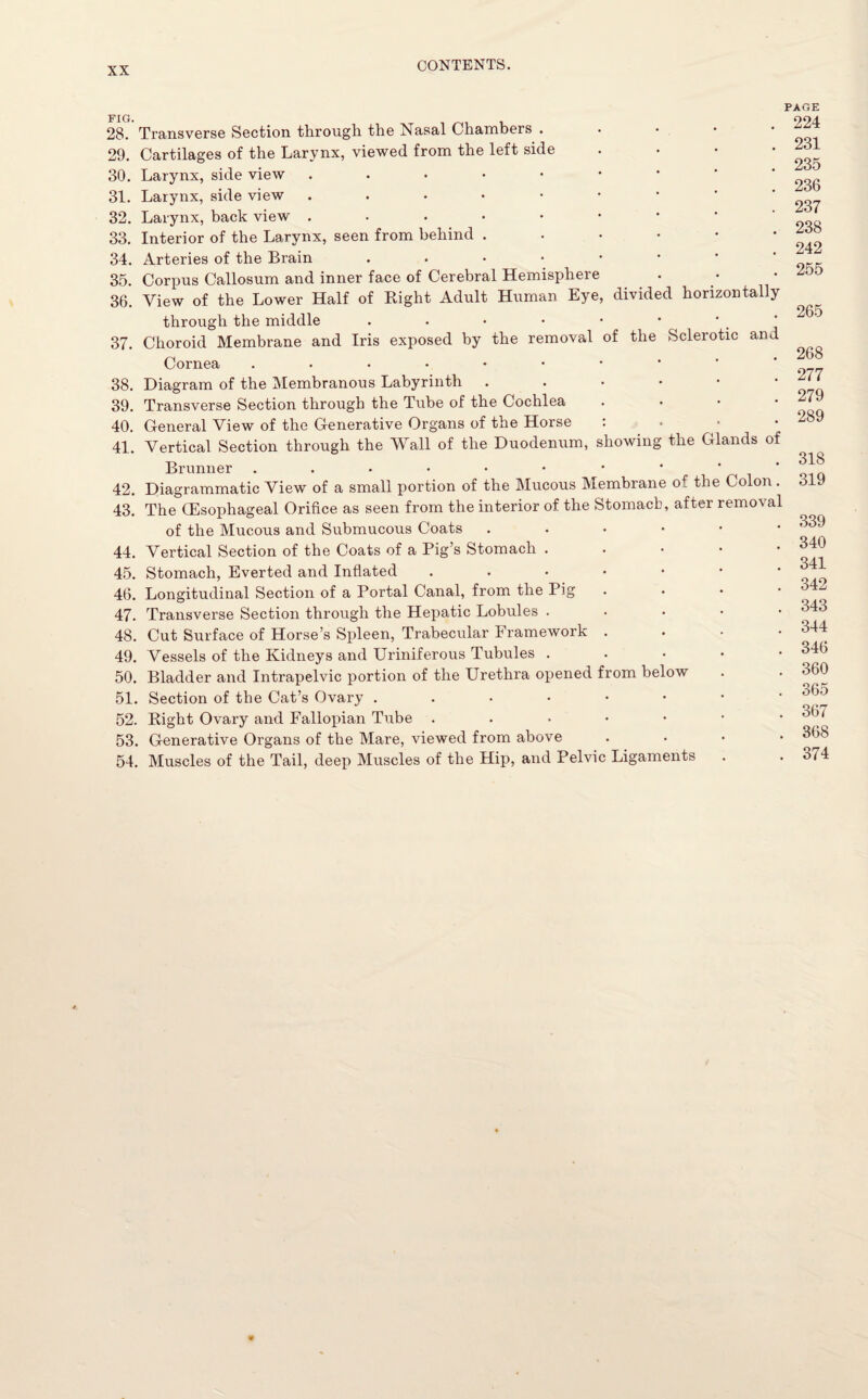 PAGE 28. Transverse Section through, the Nasal Chambers . 29. Cartilages of the Larynx, viewed from the left side • 30. Larynx, side view ....•• 31. Larynx, side view ...••• 32. Larynx, back view 33. Interior of the Larynx, seen from behind ...••• 34. Arteries of the Brain . 35. Corpus Callosum and inner face of Cerebral Hemisphere 36. View of the Lower Half of Right Adult Human Eye, divided horizontally through the middle . . • • • • ' 37. Choroid Membrane and Iris exposed by the removal of the Sclerotic and Cornea . 38. Diagram of the Membranous Labyrinth . 39. Transverse Section through the Tube of the Cochlea 40. General View of the Generative Organs of the Horse : • 41. Vertical Section through the Wall of the Duodenum, showing the Glands of Brunner 42. Diagrammatic View of a small portion of the Mucous Membrane o^ the Colon . 43. The (Esophageal Orifice as seen from the interior of the Stomach, after removal of the Mucous and Submucous Coats . 44. Vertical Section of the Coats of a Pig’s Stomach • 45. Stomach, Everted and Inflated . 46. Longitudinal Section of a Portal Canal, from the Pig 47. Transverse Section through the Hepatic Lobules • 48. Cut Surface of Horse’s Spleen, Trabecular Framework . 49. Vessels of the Kidneys and Uriniferous Tubules . 50. Bladder and Intrapelvic portion of the Urethra opened from below 51. Section of the Cat’s Ovary ...••••• 52. Right Ovary and Fallopian Tube ...•••• 53. Generative Organs of the Mare, viewed from above • 54. Muscles of the Tail, deep Muscles of the Hip, and Pelvic Ligaments 224 231 235 236 237 238 242 255 265 268 277 279 289 318 319 339 340 341 342 343 344 346 360 365 367 368 374