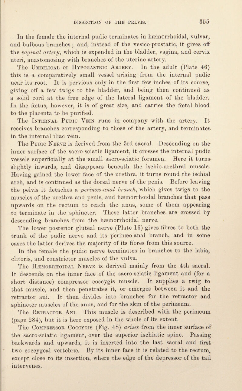 In the female the internal pudic terminates in hsemorrhoidal, vulvar, and bulbous branches; and, instead of the vesico-prostatic, it gives off the vaginal artery, which is expended in the bladder, vagina, and cervix uteri, anastomosing with branches of the uterine artery. The Umbilical or Hypogastric Artery. In the adult (Plate 46) this is a comparatively small vessel arising from the internal pudic near its root. It is pervious only in the first few inches of its course, giving off a few twigs to the bladder, and being then continued as a solid cord at the free edge of the lateral ligament of the bladder. In the foetus, however, it is of great size, and carries the foetal blood to the placenta to be purified. The Internal Pudic Vein runs in company with the artery. It receives branches corresponding to those of the artery, and terminates in the internal iliac vein. The Pudic Nerve is derived from the 3rd sacral, Descending on the inner surface of the sacro-sciatic ligament, it crosses the internal pudic vessels superficially at the small sacro-sciatic foramen. Here it turns slightly inwards, and disappears beneath the ischio-urethral muscle. Having gained the lower face of the urethra, it turns round the ischial arch, and is continued as the dorsal nerve of the penis. Before leaving the pelvis it detaches a perinoeo-anal branch, which gives twigs to the muscles of the urethra and penis, and hgemorrhoidal branches that pass upwards on the rectum to reach the anus, some of them appearing to terminate in the sphincter. These latter branches are crossed by descending branches from the hsemorrhoidal nerve. The lower posterior gluteal nerve (Plate 16) gives fibres to both the trunk of the pudic nerve and its perinseo-anal branch, and in some cases the latter derives the majority of its fibres from this source. In the female the pudic nerve terminates in branches to the labia, clitoris, and constrictor muscles of the vulva. The Hemorrhoidal Nerve is derived mainly from the 4th sacral. It descends on the inner face of the sacro-sciatic ligament and (for a short distance) compressor coccygis muscle. It supplies a twig to that muscle, and then penetrates it, or emerges between it and the retractor ani. It then divides into branches for the retractor and sphincter muscles of the anus, and for the skin of the peringeum. The Retractor Ani. This muscle is described with the peringeum (page 284), but it is here exposed in the whole of its extent. The Compressor Coccygis (Fig. 48) arises from the inner surface of the sacro-sciatic ligament, over the superior ischiatic spine. Passing backwards and upwards, it is inserted into the last sacral and first two coccygeal vertebrae. By its inner face it is related to the rectum, except close to its insertion, where the edge of the depressor of the tail intervenes.