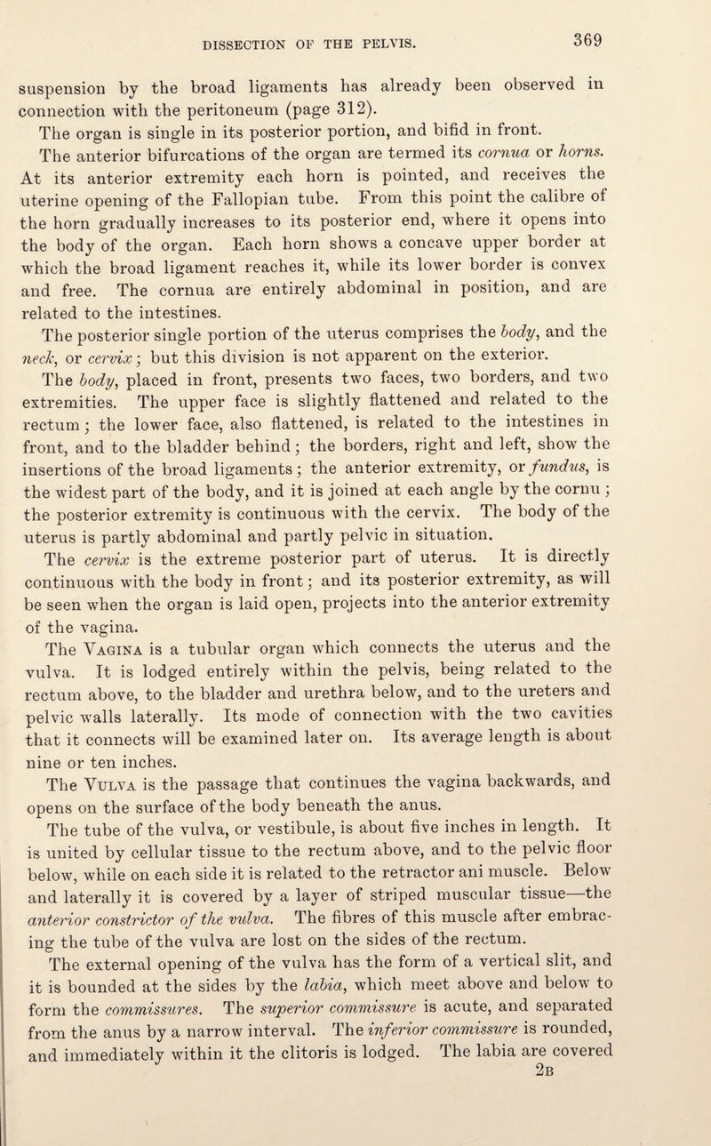 suspension by the broad ligaments has already been observed in connection with the peritoneum (page 312). The organ is single in its posterior portion, and bifid in front. The anterior bifurcations of the organ are termed its cornua or horns. At its anterior extremity each horn is pointed, and receives the uterine opening of the Fallopian tube. From this point the calibre of the horn gradually increases to its posterior end, where it opens into the body of the organ. Each horn shows a concave upper border at which the broad ligament reaches it, while its lower border is convex and free. The cornua are entirely abdominal in position, and are related to the intestines. The posterior single portion of the uterus comprises the body, and the neck, or cervix; but this division is not apparent on the exterior. The body, placed in front, presents two faces, two borders, and two extremities. The upper face is slightly flattened and related to the rectum ; the lower face, also flattened, is related to the intestines in front, and to the bladder behind; the borders, right and left, show the insertions of the broad ligaments; the anterior extremity, or fundus, is the widest part of the body, and it is joined at each angle by the cornu ; the posterior extremity is continuous with the cervix. The body of the uterus is partly abdominal and partly pelvic in situation. The cervix is the extreme posterior part of uterus. It is directly continuous with the body in front; and its posterior extremity, as will be seen when the organ is laid open, projects into the anterior extremity of the vagina. The Vagina is a tubular organ which connects the uterus and the vulva. It is lodged entirely within the pelvis, being related to the rectum above, to the bladder and urethra below, and to the ureters and pelvic walls laterally. Its mode of connection with the two cavities that it connects will be examined later on. Its average length is about nine or ten inches. The Vulva is the passage that continues the vagina backwards, and opens on the surface of the body beneath the anus. The tube of the vulva, or vestibule, is about five inches in length. It is united by cellular tissue to the rectum above, and to the pelvic floor below, while on each side it is related to the retractor ani muscle. Below and laterally it is covered by a layer of striped muscular tissue the anterior constrictor of the vulva. The fibres of this muscle after embrac¬ ing the tube of the vulva are lost on the sides of the rectum. The external opening of the vulva has the form of a vertical slit, and it is bounded at the sides by the labia, which meet above and below to form the commissures. The superior commissure is acute, and separated from the anus by a narrow interval. The inferior commissure is rounded, and immediately within it the clitoris is lodged. The labia are covered