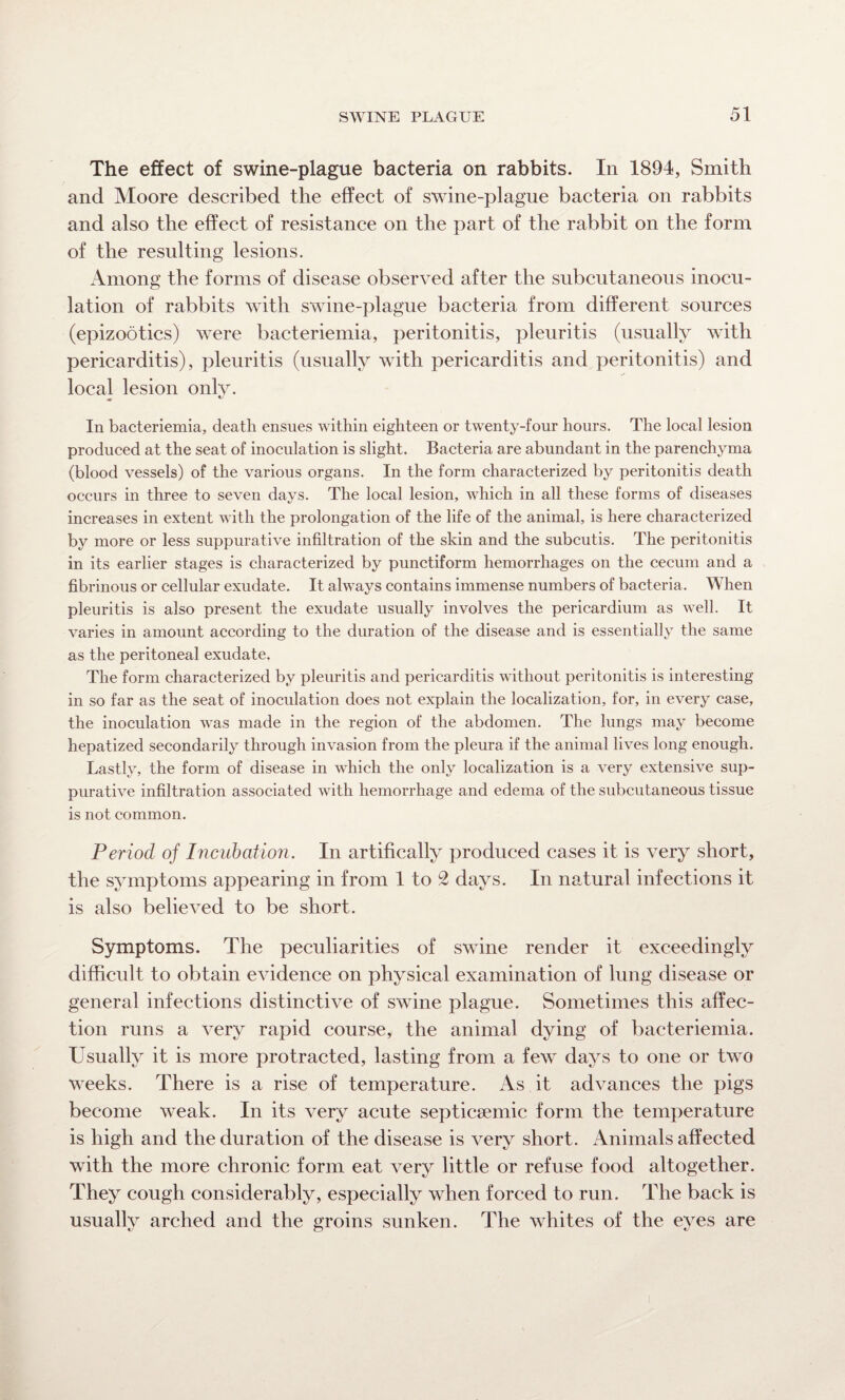 The effect of swine-plague bacteria on rabbits. In 1894, Smith and Moore described the effect of swine-plague bacteria on rabbits and also the effect of resistance on the part of the rabbit on the form of the resulting lesions. x4mong the forms of disease observed after the subcutaneous inocu¬ lation of rabbits with swine-plague bacteria from different sources (epizootics) were bacteriemia, peritonitis, pleuritis (usually with pericarditis), pleuritis (usually with pericarditis and peritonitis) and local lesion only. In bacteriemia, death ensues within eighteen or twenty-four hours. The local lesion produced at the seat of inoculation is slight. Bacteria are abundant in the parenchyma (blood vessels) of the various organs. In the form characterized by peritonitis death occurs in three to seven days. The local lesion, which in all these forms of diseases increases in extent with the prolongation of the life of the animal, is here characterized by more or less suppurative infiltration of the skin and the subcutis. The peritonitis in its earlier stages is characterized by punctiform hemorrhages on the cecum and a fibrinous or cellular exudate. It always contains immense numbers of bacteria. When pleuritis is also present the exudate usually involves the pericardium as well. It varies in amount according to the duration of the disease and is essentially the same as the peritoneal exudate. The form characterized by pleuritis and pericarditis without peritonitis is interesting in so far as the seat of inoculation does not explain the localization, for, in every case, the inoculation was made in the region of the abdomen. The lungs may become hepatized secondarily through invasion from the pleura if the animal lives long enough. Lastly, the form of disease in which the only localization is a very extensive sup¬ purative infiltration associated with hemorrhage and edema of the subcutaneous tissue is not common. Period of Incubation. In artifically produced cases it is very short, the symptoms appearing in from 1 to 2 days. In natural infections it is also believed to be short. Symptoms. The peculiarities of swine render it exceedingly difficult to obtain evidence on physical examination of lung disease or general infections distinctive of swine plague. Sometimes this affec¬ tion runs a very rapid course, the animal dying of bacteriemia. Usually it is more protracted, lasting from a few days to one or two weeks. There is a rise of temperature. As it advances the pigs become weak. In its very acute septicsemic form the temperature is high and the duration of the disease is very short. Animals affected with the more chronic form eat very little or refuse food altogether. They cough considerably, especially when forced to run. The back is usually arched and the groins sunken. The whites of the eyes are