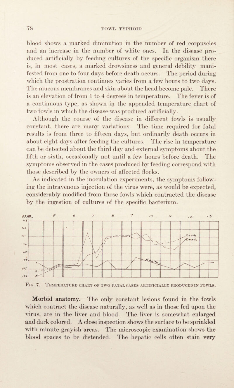 blood shows a marked diminution in the number of red corpuscles and an increase in the number of white ones. In the disease pro¬ duced artificially by feeding cultures of the specific organism there is, in most cases, a marked drowsiness and general debility mani¬ fested from one to four days before death occurs. The period during which the prostration continues varies from a few hours to two days. The mucous membranes and skin about the head become pale. There is an elevation of from 1 to 4 degrees in temperature. The fever is of a continuous type, as shown in the appended temperature chart of two fowls in which the disease was produced artificially. Although the course of the disease in different fowls is usually constant, there are many variations. The time required for fatal results is from three to fifteen days, but ordinarily death occurs in about eight days after feeding the cultures. The rise in temperature can be detected about the third day and external symptoms about the fifth or sixth, occasionally not until a few hours before death. The symptoms observed in the cases produced by feeding correspond with those described by the owners of affected flocks. As indicated in the inoculation experiments, the symptoms follow¬ ing the intravenous injection of the virus were, as would be expected, considerably modified from those fowls which contracted the disease by the ingestion of cultures of the specific bacterium. FAHR. * 6 7 © ? /o // /2. ' 3 Morbid anatomy. The only constant lesions found in the fowls which contract the disease naturally, as well as in those fed upon the virus, are in the liver and blood. The liver is somewhat enlarged and dark colored. A close inspection shows the surface to be sprinkled with minute grayish areas. The microscopic examination shows the blood spaces to be distended. The hepatic cells often stain very