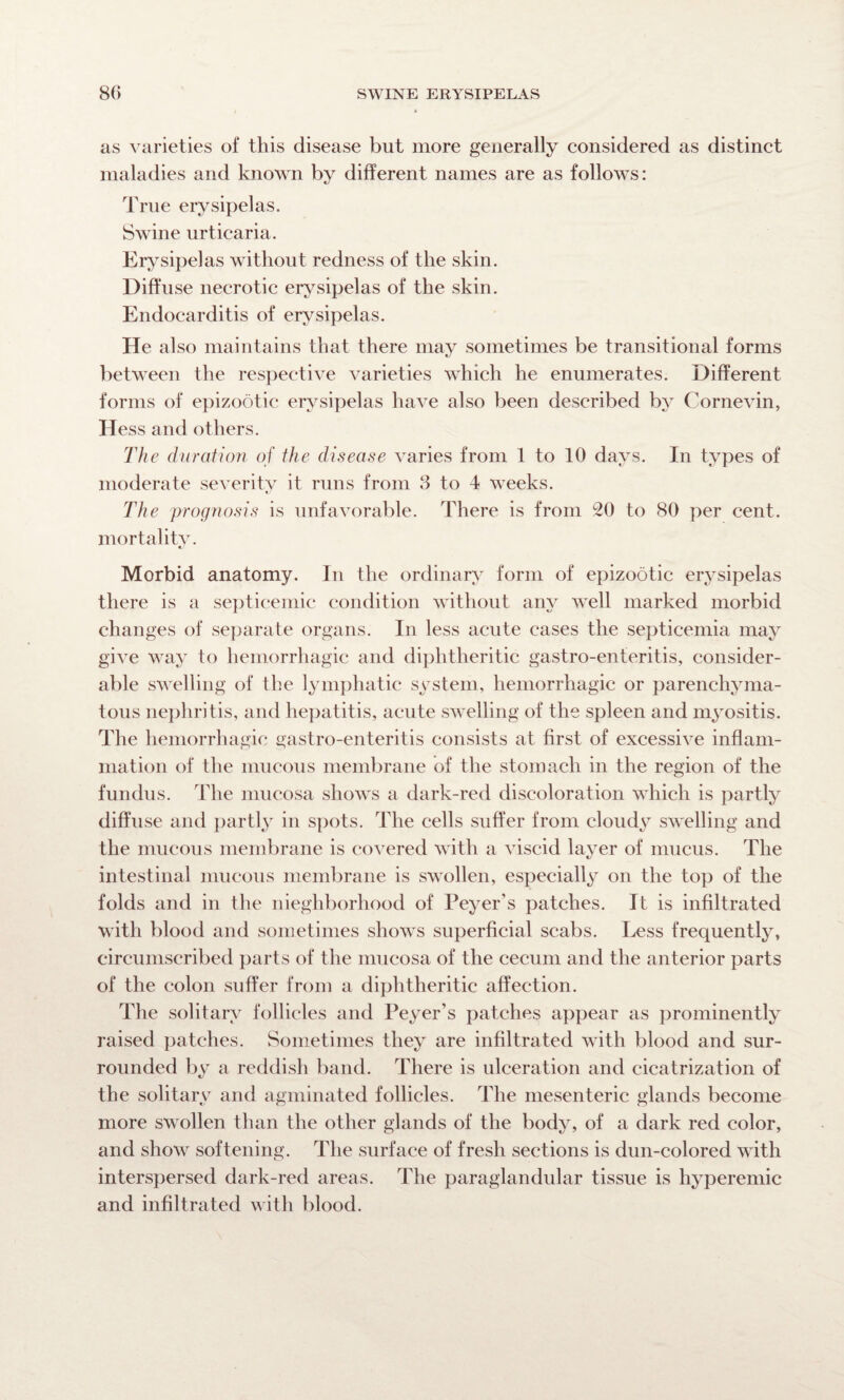 as varieties of this disease but more generally considered as distinct maladies and known by different names are as follows: True erysipelas. Swine urticaria. Erysipelas without redness of the skin. Diffuse necrotic erysipelas of the skin. Endocarditis of erysipelas. He also maintains that there may sometimes be transitional forms between the respective varieties which he enumerates. Different forms of epizootic erysipelas have also been described by Cornevin, Hess and others. The duration of the disease varies from 1 to 10 days. In types of moderate severity it runs from 3 to 4 weeks. The prognosis is unfavorable. There is from 20 to 80 per cent, mortality. Morbid anatomy. In the ordinary form of epizootic erysipelas there is a septicemic condition without any well marked morbid changes of separate organs. In less acute cases the septicemia may give way to hemorrhagic and diphtheritic gastro-enteritis, consider¬ able swelling of the lymphatic system, hemorrhagic or parenchyma¬ tous nephritis, and hepatitis, acute swelling of the spleen and myositis. The hemorrhagic gastro-enteritis consists at first of excessive inflam¬ mation of the mucous membrane of the stomach in the region of the fundus. The mucosa shows a dark-red discoloration which is partly diffuse and partly in spots. The cells suffer from cloudy swelling and the mucous membrane is covered with a viscid layer of mucus. The intestinal mucous membrane is swollen, especially on the top of the folds and in the nieghborhood of Peyer’s patches. It is infiltrated with blood and sometimes shows superficial scabs. Less frequently, circumscribed parts of the mucosa of the cecum and the anterior parts of the colon suffer from a diphtheritic affection. The solitary follicles and Peyer’s patches appear as prominently raised patches. Sometimes they are infiltrated with blood and sur¬ rounded by a reddish band. There is ulceration and cicatrization of the solitary and agminated follicles. The mesenteric glands become more swollen than the other glands of the body, of a dark red color, and show softening. The surface of fresh sections is dun-colored with interspersed dark-red areas. The paraglandular tissue is hyperemic and infiltrated with blood.