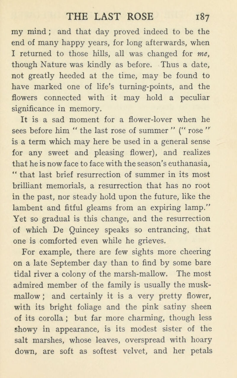 my mind ; and that day proved indeed to be the end of many happy years, for long afterwards, when I returned to those hills, all was changed for me, though Nature was kindly as before. Thus a date, not greatly heeded at the time, may be found to have marked one of life’s turning-points, and the flowers connected with it may hold a peculiar significance in memory. It is a sad moment for a flower-lover when he sees before him “ the last rose of summer ’’ (“ rose ’’ is a term which may here be used in a general sense for any sweet and pleasing flower), and realizes that he is now face to face with the season’s euthanasia, “ that last brief resurrection of summer in its most brilliant memorials, a resurrection that has no root in the past, nor steady hold upon the future, like the lambent and fitful gleams from an expiring lamp. Yet so gradual is this change, and the resurrection of which De Quincey speaks so entrancing, that one is comforted even while he grieves. For example, there are few sights more cheering on a late September day than to find by some bare tidal river a colony of the marsh-mallow. The most admired member of the family is usually the musk- mallow ; and certainly it is a very pretty flower, with its bright foliage and the pink satiny sheen of its corolla; but far more charming, though less showy in appearance, is its modest sister of the salt marshes, whose leaves, overspread with hoary down, are soft as softest velvet, and her petals