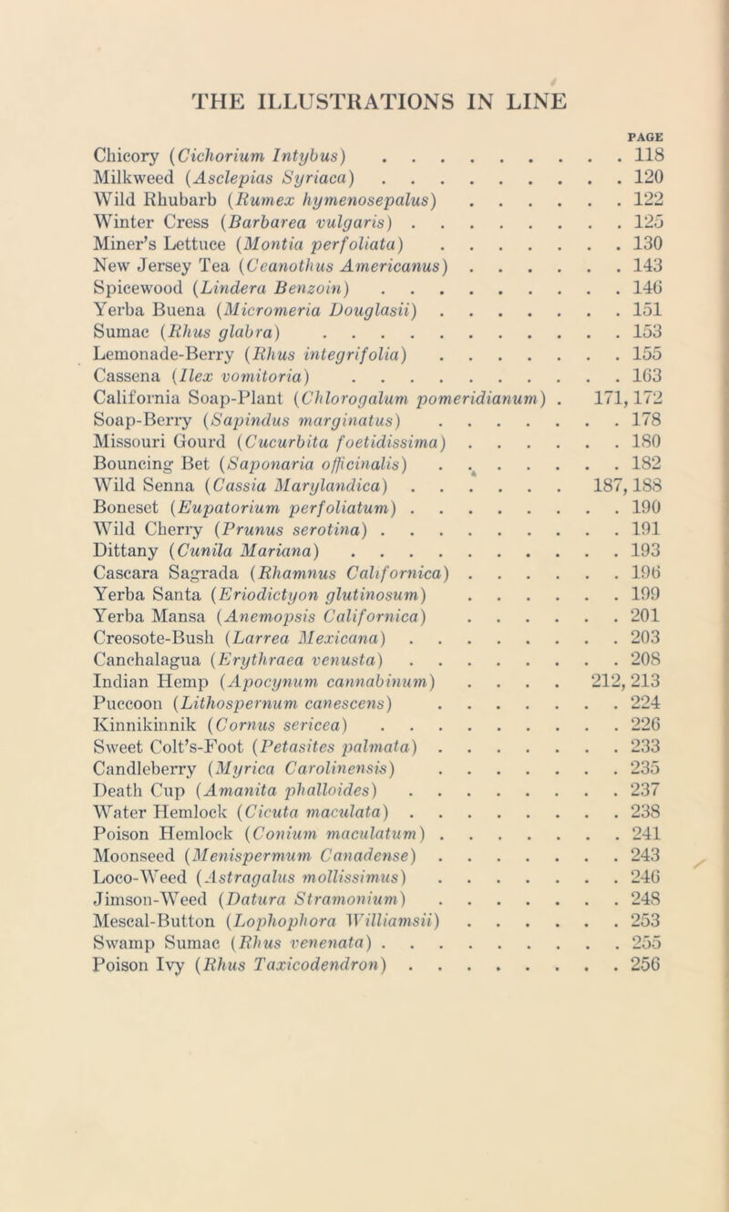 PAGE Chicory (Cichorium Intybus) 118 Milkweed (Asclepias Syriaca) 120 Wild Rhubarb (Rumex hymenosepalus) 122 Winter Cress (Barbarea vulgaris) 125 Miner’s Lettuce (Montia perfoliata) 130 New Jersey Tea (Ccanothus Americanus) 143 Spicewood (Lindera Benzoin) 146 Yerba Buena (Micromeria Douglasii) 151 Sumac (Rhus glabra) 153 Lemonade-Berry (Rhus integrifolia) 155 Cassena (Ilex vomitoria) 163 California Soap-Plant (Chlorogalum pomeridianum) . 171,172 Soap-Berry (Sapindus marginatus) 178 Missouri Gourd (Cucurbita foetidissima) 180 Bouncing- Bet (Saponaria officinalis) 182 Wild Senna (Cassia Marylandica) 187,188 Boneset (Eupatorium perfoliatum) 190 Wild Cherry (Prunus serotina) 191 Dittany (Cunila Mariana) 193 Cascara Sagrada (Rliamnus Californica) 196 Yerba Santa (Eriodictyon glutinosum) 199 Yerba Mansa (Anemopsis Calif ornica) 201 Creosote-Bush (Larrea Mexicana) 203 Canchalagua (Erythraea venusta) 208 Indian Hemp (Apocynum cannabinum) .... 212,213 Puccoon (Lithospernum canescens) 224 Kinnikinnik (Cornus sericea) 226 Sweet Colt’s-Foot (Petasites palmata) 233 Candleberry (Myrica Carolinensis) 235 Death Cup (Amanita phalloides) 237 Water Hemlock (Cicuta macidata) 238 Poison Hemlock (Conium maculatum) 241 Moonseed (Menispermum Canadense) 243 Loco-Weed (Astragalus mollissimus) 246 Jimson-Weed (Datura Stramonium) 248 Mescal-Button (Lophophora Williamsii) 253 Swamp Sumac (Rhus venenata) 255 Poison Ivy (Rhus Toxicodendron) 256