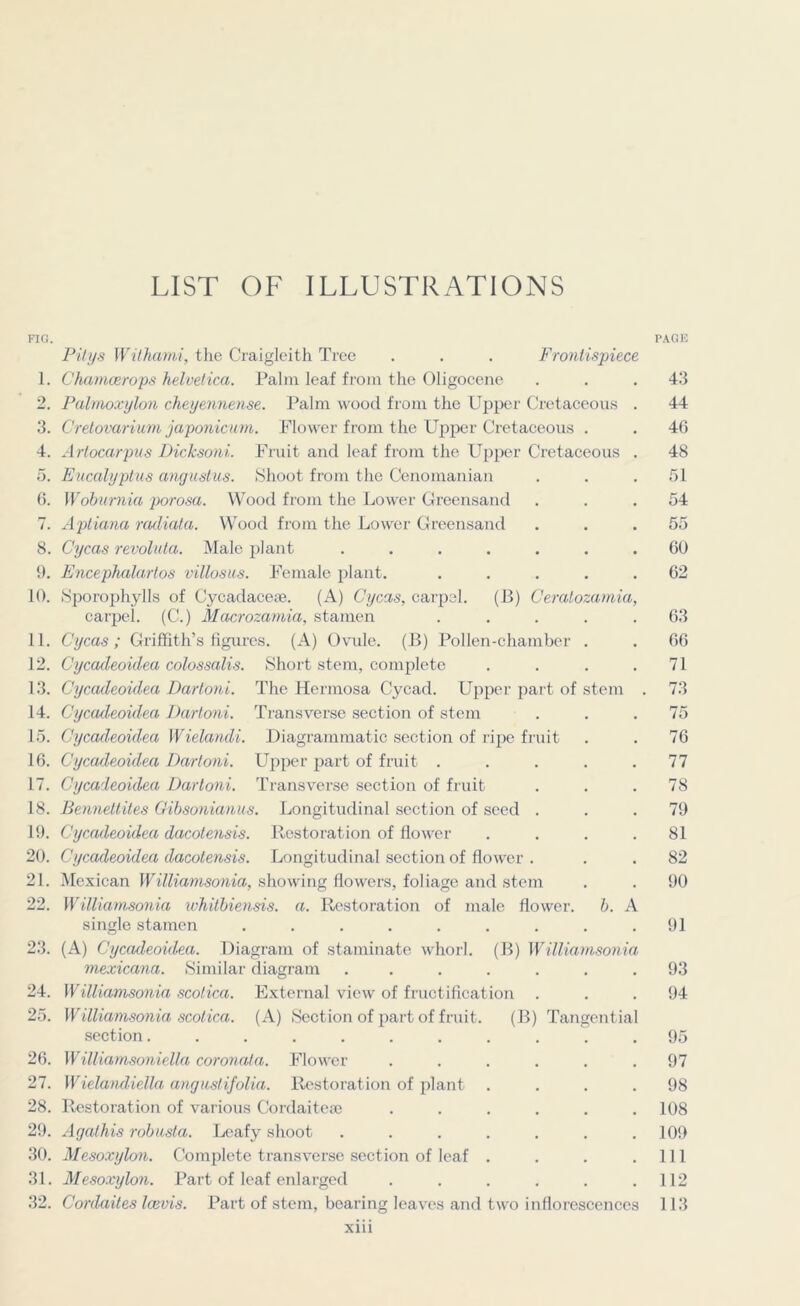 FIG. PAGE Pitys Withami, the Craigleith Tree . . . Frontispiece 1. Chctmcerops Helvetica. Palm leaf from the Oligocene . . .43 2. Palmoxylon cheyennense. Palm wood from the Upper Cretaceous . 44 3. Cretovarium japonicum. Flower from the Upper Cretaceous . . 46 4. Artocarpus Dicksoni. Fruit and leaf from the Upper Cretaceous . 48 5. Eucalyptus angustus. Shoot from the Cenomanian . . .51 6. Wobumia porosa. Wood from the Lower Greensand ... 54 7. Aptiana radiata. Wood from the Lower Greensand ... 55 8. Cycas revoluta. Male plant ....... 60 9. Encephalartos villosus. Female plant. ..... 62 10. Sporophylls of Cycadaceae. (A) Cycas, carpel. (B) Ceratozamia, carpel. (C.) Macrozamia, stamen . . . . .63 11. Cycas; Griffith’s figures. (A) Ovule. (B) Pollen-chamber . . 66 12. Cycadeoiilea colossalis. Short stem, complete . . . .71 13. Cycadeoulea Dartoni. The Hermosa Cycad. Upper part of stem . 73 14. Cycadeoulea Dartoni. Transverse section of stem ... 75 15. Cycadeoulea Wielandi. Diagrammatic section of ripe fruit . . 76 16. Cycadeoulea Dartoni. Upper part of fruit . . . . .77 17. Cycadeoulea Dartoni. Transverse section of fruit ... 78 18. Bennettites Gibsonianus. Longitudinal section of seed ... 79 19. Cycadeoidea dacotensis. Restoration of flower . . . .81 20. Cycadeoidea dacotensis. Longitudinal section of flower . 82 21. Mexican Williamsonia, showing flowers, foliage and stem . . 90 22. Williamsonia whitbiensis. a. Restoration of male flower, b. A single stamen . . . . . . . . .91 23. (A) Cycadeoidea. Diagram of staminate whorl. (B) Williamsonia mexicana. Similar diagram ....... 93 24. Williamsonia scotica. External view of fructification . . .94 25. Williamsonia scotica. (A) Section of part of fruit. (B) Tangential section........... 95 26. Williamsoniella coronata. Flower ...... 97 27. Wielandiella anguslifolia. Restoration of plant .... 98 28. Restoration of various Cordaitese ...... 108 29. Agathis robusta. Leafy shoot ....... 109 30. Mesoxylon. Complete transverse section of leaf . . . .111 31. Mesoxylon. Part of leaf enlarged . . . . . .112 32. Cordaites Icevis. Part of stem, bearing leaves and two inflorescences 113