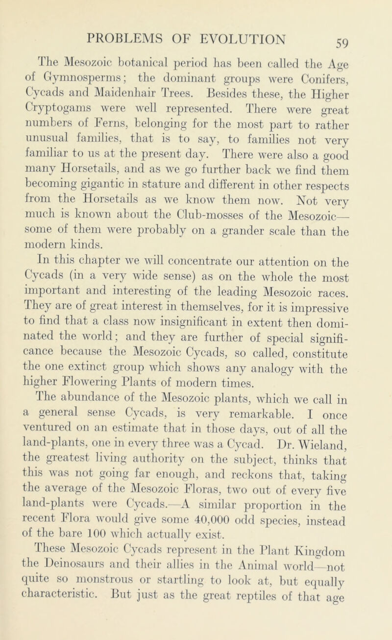 The Mesozoic botanical period has been called the Age of Gymnosperms; the dominant groups were Conifers, Cycads and Maidenhair Trees. Besides these, the Higher Cryptogams were well represented. There were great numbers of Ferns, belonging for the most part to rather unusual families, that is to say, to families not very familiar to us at the present day. There were also a good many Horsetails, and as we go further back we find them becoming gigantic in stature and different in other respects from the Horsetails as we know them now. Not very much is known about the Club-mosses of the Mesozoic— some of them were probably on a grander scale than the modern kinds. In this chapter we will concentrate our attention on the Cycads (in a very wide sense) as on the whole the most important and interesting of the leading Mesozoic races. They are of great interest in themselves, for it is impressive to find that a class now insignificant in extent then domi- nated the world; and they are further of special signifi- cance because the Mesozoic Cycads, so called, constitute the one extinct group which shows any analogy with the higher Flowering Plants of modern times. The abundance of the Mesozoic plants, which we call in a general sense Cycads, is very remarkable. I once ventured on an estimate that in those days, out of all the land-plants, one in every three was a Cycad. Dr. Wieland, the greatest living authority on the subject, thinks that this was not going far enough, and reckons that, taking the average of the Mesozoic Floras, two out of every five land-plants were Cycads.—A similar proportion in the recent Flora would give some 40,000 odd species, instead of the bare 100 which actually exist. These Mesozoic Cycads represent in the Plant Kingdom the Deinosaurs and their allies in the Animal world not quite so monstrous or startling to look at, but equally characteristic. But just as the great reptiles of that age
