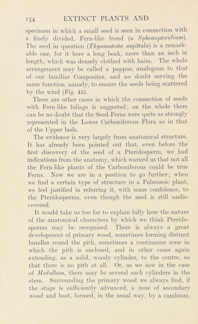 J54 specimen in which a small seed is seen in connection with a finely divided, Fern-like frond (a Sphenopteridiwn). The seed in question (Thysanotesta sagittula) is a remark- able one, for it bore a long beak, more than an inch in length, which was densely clothed with hairs. The whole arrangement may be called a pappus, analogous to that of our familiar Composites, and no doubt serving the same function, namely, to ensure the seeds being scattered by the wind (Fig. 45). There are other cases in which the connection of seeds with Fern-like foliage is suggested; on the whole there can be no doubt that the Seed-Ferns were quite as strongly represented in the Lower Carboniferous Flora as in that of the Upper beds. The evidence is very largely from anatomical structure. It has already been pointed out that, even before the first discovery of the seed of a Pteridosperm, we had indications from the anatomy, which warned us that not all the Fern-like plants of the Carboniferous could be true Ferns. Now we are in a position to go further; when we find a certain type of structure in a Palaeozoic plant, we feel justified in referring it, with some confidence, to the Pteridosperms, even though the seed is still undis- covered. It would take us too far to explain fully here the nature of the anatomical characters by which we think Pterido- sperms may be recognised. There is always a great development of primary wood, sometimes forming distinct bundles round the pith, sometimes a continuous zone in which the pith is enclosed, and in other cases again extending, as a solid, woody cylinder, to the centre, so that there is no pith at all. Or, as we saw in the case of Medullosa, there may be several such cylinders in the stem. Surrounding the primary wood we always find, if the stage is sufficiently advanced, a zone of secondary wood and bast, formed, in the usual way, by a cambium.