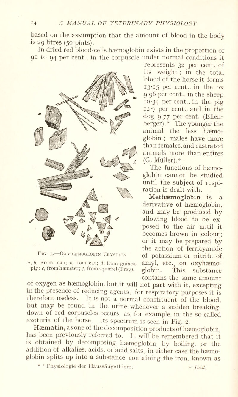 based on the assumption that the amount of blood in the body is 29 litres (50 pints). In dried red blood-cells haemoglobin exists in the proportion of 90 to 94 per cent., in the corpuscle under normal conditions it represents 32 per cent, of its weight ; in the total blood of the horse it forms 13-15 per cent., in the ox 9- 96 per cent., in the sheep 10- 34 per cent., in the pig 12-7 per cent., and in the dog 977 per cent. (Ellen- berger).* The younger the animal the less haemo¬ globin ; males have more than females, and castrated animals more than entires (G. Muller).f The functions of haemo¬ globin cannot be studied until the subject of respi¬ ration is dealt with. Methaemoglobin is a derivative of haemoglobin, and may be produced by allowing blood to be ex¬ posed to the air until it becomes brow-n in colour; or it may be prepared by the action of ferricyanide of potassium or nitrite of amyl, etc., on oxyhaemo¬ globin. This substance contains the same amount of oxygen as haemoglobin, but it will not part with it, excepting in the presence of reducing agents; for respiratory purposes it is therefore useless. It is not a normal constituent of the blood, but may be found in the urine whenever a sudden breaking- down of red corpuscles occurs, as, for example, in the so-called azotuna of the horse. Its spectrum is seen in Tig. 2. Haematin, as one of the decomposition products of haemoglobin, has been previously referred to. It will be remembered that it is obtained by decomposing haemoglobin by boiling, or the addition of alkalies, acids, or acid salts; in either case the haemo¬ globin splits up into a substance containing the iron, known as Fig. 3.—Oxyhemoglobin Crystals. a, b, From man; c, from cat; d, from guinea- pig; e, from hamster; /, from squirrel (Frey). * ‘ Physiologie tier Haussaugethiere.’ f Ibid.