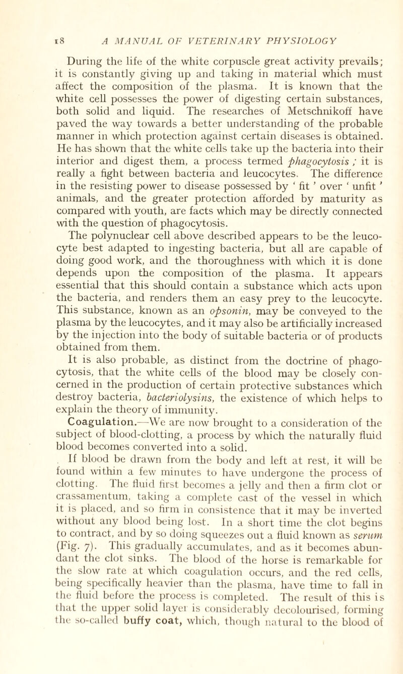 During the life of the white corpuscle great activity prevails; it is constantly giving up and taking in material which must affect the composition of the plasma. It is known that the white cell possesses the power of digesting certain substances, both solid and liquid. The researches of Metschnikoff have paved the way towards a better understanding of the probable manner in which protection against certain diseases is obtained. He has shown that the white cells take up the bacteria into their interior and digest them, a process termed phagocytosis ; it is really a fight between bacteria and leucocytes. The difference in the resisting power to disease possessed by ‘ fit ’ over ‘ unfit ' animals, and the greater protection afforded by maturity as compared with youth, are facts which may be directly connected with the question of phagocytosis. The polynuclear cell above described appears to be the leuco¬ cyte best adapted to ingesting bacteria, but all are capable of doing good work, and the thoroughness with which it is done depends upon the composition of the plasma. It appears essential that this should contain a substance which acts upon the bacteria, and renders them an easy prey to the leucocyte. This substance, known as an opsonin, may be conveyed to the plasma by the leucocytes, and it may also be artificially increased by the injection into the body of suitable bacteria or of products obtained from them. It is also probable, as distinct from the doctrine of phago¬ cytosis, that the white cells of the blood may be closely con¬ cerned in the production of certain protective substances which destroy bacteria, bactenolysins, the existence of which helps to explain the theory of immunity. Coagulation.—We are now brought to a consideration of the subject of blood-clotting, a process by which the naturally fluid blood becomes converted into a solid. If blood be drawn from the body and left at rest, it will be found within a few minutes to have undergone the process of clotting. Ihe fluid first becomes a jelly and then a firm clot or crassamentum, taking a complete cast of the vessel in which it is placed, and so firm in consistence that it may be inverted without any blood being lost. In a short time the clot begins to contract, and by so doing squeezes out a fluid known as serum (Fig- 7)- this gradually accumulates, and as it becomes abun¬ dant the clot sinks. 1 he blood of the horse is remarkable for the slow rate at which coagulation occurs, and the red cells, being specifically heavier than the plasma, have time to fall in the fluid before the process is completed. The result of this is that the upper solid layer is considerably decolourised, forming the so-called buffy coat, which, though natural to the blood of