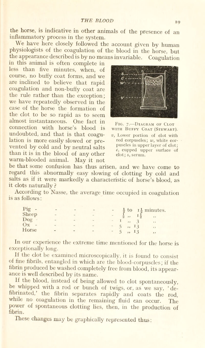 19 the horse, is indicative in other animals of the presence of an inflammatory process in the system. \\ e have here closely followed the account given by human physiologists of the coagulation of the blood in the horse, but the appearance described is by no means invariable. Coagulation in this animal is often complete in less than five minutes, when, of course, no buffy coat forms, and we are inclined to believe that rapid coagulation and non-buffy coat are the rule rather than the exception; we have repeatedly observed in the case of the horse the formation of the clot to be so rapid as to seem almost instantaneous. One fact in connection with horse’s blood is undoubted, and that is that coagu¬ lation is more easily slowed or pre¬ vented by cold and by neutral salts than it is in the blood of any other warm-blooded animal. May it not be that some confusion has thus arisen, and we have come to regard this abnormally easy slowing of clotting by cold and salts as if it were markedly a characteristic of horse’s blood, as it clots naturally ? According to Nasse, the average time occupied in coagulation is as follows: Fig. 7.—Diagram of Clot with Buffy Coat (Stewart). v, Lower portion of clot with red corpuscles; w, white cor¬ puscles in upper layer of clot; c, cupped upper surface of clot; s, serum. Pig - Sheep Dog Ox - Horse i to i \ minutes. 1 „ U 1 » 3 5 >. J3 5 .. 13 In our experience the extreme time mentioned for the horse is exceptionally long. If the clot be examined microscopically, it is found to consist of fine fibrils, entangled in which are the blood-corpuscles; if the fibrin produced be washed completely free from blood, its appear¬ ance is well described by its name. If the blood, instead of being allowed to clot spontaneously, be whipped with a rod or bunch of twigs, or, as we say, ‘ de- fibrinated,’ the fibrin separates rapidly and coats the rod, while no coagulation in the remaining fluid can occur. The power of spontaneous clotting lies, then, in the production of fibrin. .These changes may be graphically represented thus;