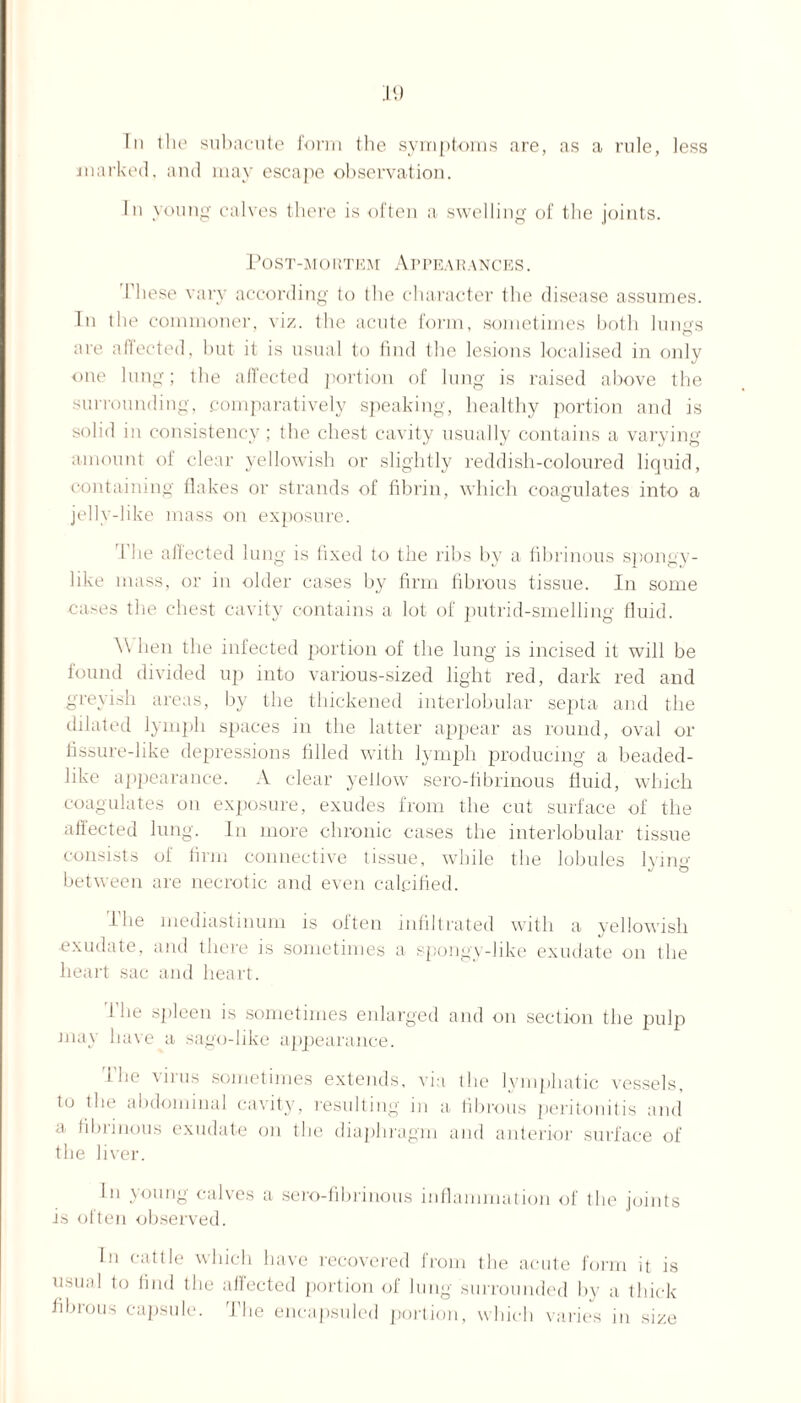In the subacute form the symptoms are, as a rule, less marked, and may escape observation. lu young calves there is often a swelling of the joints. Post-mortem Appearances. I hese vary according to (he character the disease assumes. In (he commoner, viz. the acute form, sometimes both hums are affected, but it is usual to find the lesions localised in only one lung; the affected portion of lung is raised above the surrounding, comparatively speaking, healthy portion and is solid in consistency; the chest cavity usually contains a varying amount of clear yellowish or slightly reddish-coloured liquid, containing flakes or strands of fibrin, which coagulates into a jelly-like mass on exposure. The affected lung is fixed to the ribs by a fibrinous spongy- like mass, or in older cases by firm fibrous tissue. In some cases the chest cavity contains a lot of putrid-smelling fluid. A\ hen the infected portion of the lung is incised it will be found divided up into various-sized light red, dark red and greyish areas, by the thickened interlobular septa and the dilated lymph spaces in the latter appear as round, oval or fissure-like depressions filled with lymph producing a beaded- like appearance. A clear yellow sero-fibrinous fluid, which coagulates on exposure, exudes from the cut surface of the affected lung. In more chronic cases the interlobular tissue consists of firm connective tissue, while the lobules lying between are necrotic and even calcified. The mediastinum is often infiltrated with a yellowish exudate, and there is sometimes a spongy-like exudate on the heart sac and heart. The spleen is sometimes enlarged and on section the pulp may have a sago-like appearance. The virus sometimes extends, via the lymphatic vessels, to the abdominal cavity, resulting in a fibrous peritonitis and a fibrinous exudate on the diaphragm and anterior surface of the liver. In young calves a sero-fibrinous inflammation of the joints is often observed. In cattle which have recovered Irom the acute form it is usual to find the affected portion of lung surrounded by a thick fibrous capsule. The encapsuled portion, which varies in size
