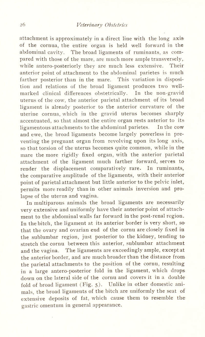 attachment is approximately in a direct line with the long axis of the cornua, the entire organ is held well forward in the abdominal cavity. The broad ligaments of ruminants, as com¬ pared with those of the mare, are much more ample transversely, while antero-posteriorly they are much less extensive. Their anterior point of attachment to the abdominal parietes is much farther posterior than in the mare. This variation in disposi¬ tion and relations of the broad ligament produces two well- marked clinical differences obstetrically. In the non-gravid uterus of the cow, the anterior parietal attachment of its broad ligament is already posterior to the anterior curvature of the uterine cornua, which in the gravid uterus becomes sharply accentuated, so that almost the entire organ rests anterior to its ligamentous attachments to the abdominal parietes. In the cow and ewe, the broad ligaments become largely powerless in pre¬ venting the pregnant organ from revolving upon its long axis, so that torsion of the uterus becomes quite common, while in the mare the more rigidly fixed organ, with the anterior parietal attachment of the ligament much farther forward, serves to render the displacement comparatively rare. In ruminants, the comparative amplitude of the ligaments, with their anterior point of parietal attachment but little anterior to the pelvic inlet, permits more readily than in other animals inversion and pro¬ lapse of the uterus and vagina. In multiparous animals the broad ligaments are necessarily very extensive and uniformly have their anterior point of attach¬ ment to the abdominal walls far forward in the post-renal region. In the bitch, the ligament at its anterior border is very short, so that the ovary and ovarian end of the cornu are closely fixed in the sublumbar region, just posterior to the kidney, tending to stretch the cornu between this anterior, sublumbar attachment and the vagina. The ligaments are exceedingly ample, except at the anterior border, and are much broader than the distance from the parietal attachments to the position of the cornu, resulting in a large antero-posterior fold in the ligament, which drops down on the lateral side of the cornu and covers it in a double fold of broad ligament (Fig. 5). Unlike in other domestic ani¬ mals, the broad ligaments of the bitch are uniformly the seat of extensive deposits of fat, which cause them to resemble the gastric omentum in general appearance.