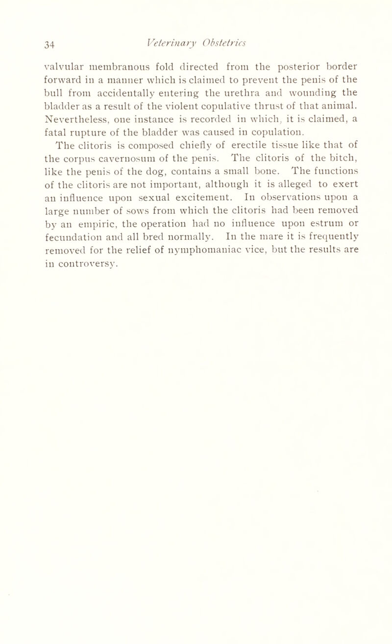 valvular membranous fold directed from the posterior border forward in a manner which is claimed to prevent the penis of the bull from accidentally entering the urethra and wounding the bladder as a result of the violent copulative thrust of that animal. Nevertheless, one instance is recorded in which, it is claimed, a fatal rupture of the bladder was caused in copulation. The clitoris is composed chiefly of erectile tissue like that of the corpus cavernosum of the penis. The clitoris of the bitch, like the penis of the dog, contains a small bone. The functions of the clitoris are not important, although it is alleged to exert an influence upon sexual excitement. In observations upon a large number of sows from which the clitoris had been removed by an empiric, the operation had no influence upon estrum or fecundation and all bred normally. In the mare it is frequently removed for the relief of nymphomaniac vice, but the results are in controversy.