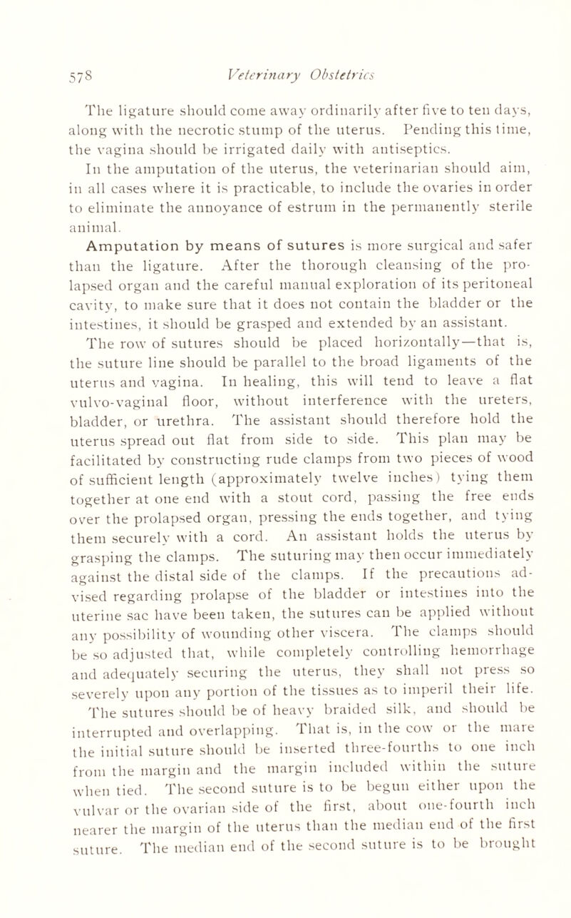 The ligature should come away ordinarily after five to ten days, along with the necrotic stump of the uterus. Pending this time, the vagina should be irrigated daily with antiseptics. In the amputation of the uterus, the veterinarian should aim, in all cases where it is practicable, to include the ovaries in order to eliminate the annoyance of estruin in the permanently sterile animal. Amputation by means of sutures is more surgical and safer than the ligature. After the thorough cleansing of the pro¬ lapsed organ and the careful manual exploration of its peritoneal cavity, to make sure that it does not contain the bladder or the intestines, it should be grasped and extended by an assistant. The row of sutures should be placed horizontally—that is, the suture line should be parallel to the broad ligaments of the uterus and vagina. In healing, this will tend to leave a flat vulvo-vaginal floor, without interference with the ureters, bladder, or urethra. The assistant should therefore hold the uterus spread out flat from side to side. This plan may be facilitated by constructing rude clamps from two pieces of wood of sufficient length (approximately twelve inches) tying them together at one end with a stout cord, passing the free ends over the prolapsed organ, pressing the ends together, and tying them securelv with a cord. An assistant holds the uterus b\ grasping the clamps. The suturing may then occur immediately against the distal side of the clamps. If the precautions ad¬ vised regarding prolapse of the bladder or intestines into the uterine sac have been taken, the sutures can be applied without any possibility of wounding other viscera. The clamps should be so adjusted that, while completely controlling hemorrhage and adequately securing the uterus, they shall not press so severely upon any portion of the tissues as to imperil their life. The sutures should be of heavy braided silk, and should be interrupted and overlapping. 1 hat is, in the cow or the mare the initial suture should be inserted three-fourths to one inch from the margin and the margin included within the suture when tied. The second suture is to be begun either upon the vulvar or the ovarian side of the first, about one-fourth inch nearer the margin of the uterus than the median end of the first suture. The median end of the second suture is to be brought
