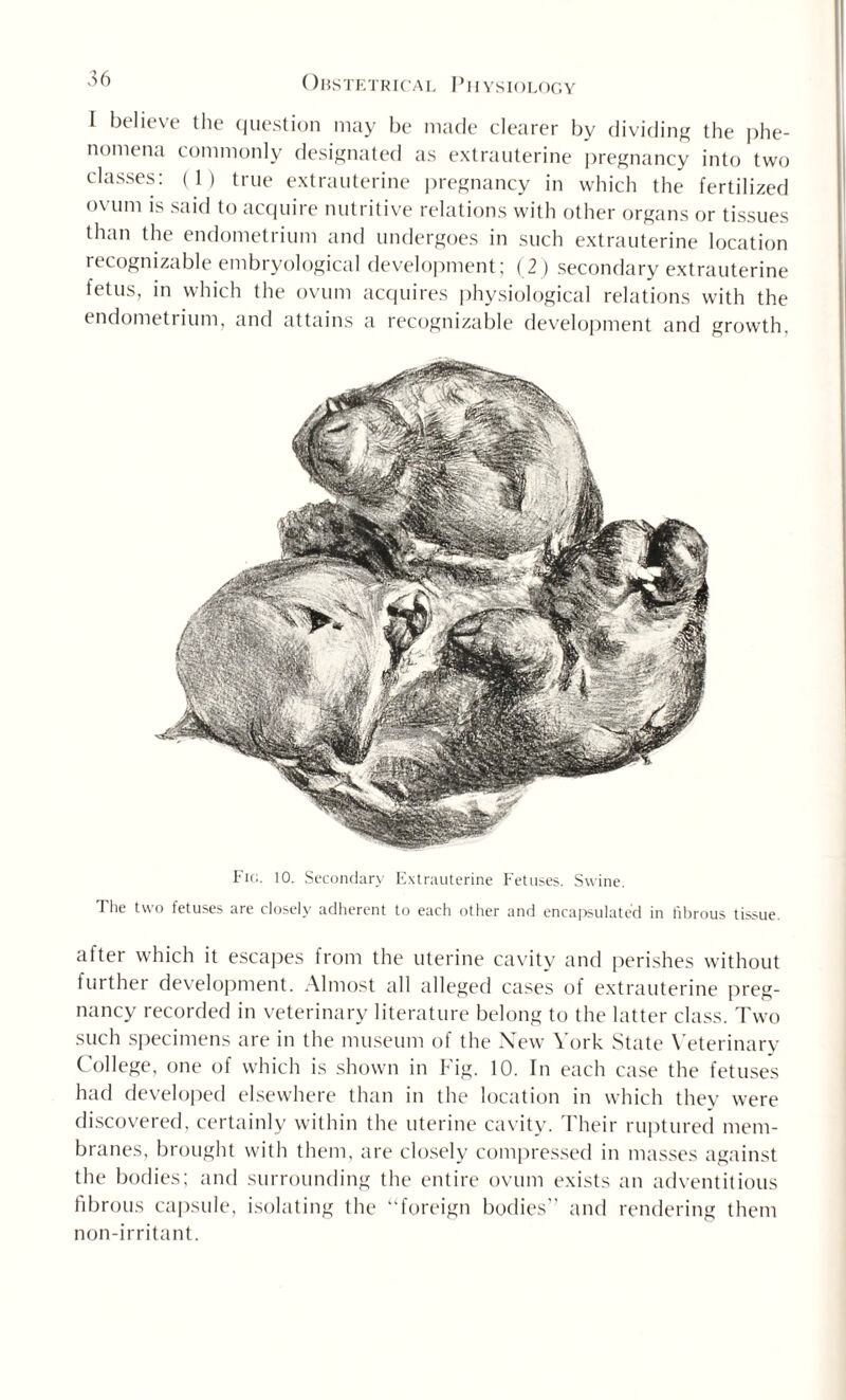 I believe the question may be noniena commonly designated classes: ( 1 ) true extrauterine made clearer by dividing the phe- as extrauterine pregnancy into two pregnancy in which the fertilized ovum is said to acquire nutritive relations with other organs or tissues than the endometrium and undergoes in such extrauterine location recognizable embryological development; (2) secondary extrauterine fetus, in which the ovum acquires physiological relations with the endometrium, and attains a recognizable development and growth. Fig. 10. Secondary Extrauterine Fetuses. Swine. The two fetuses are closely adherent to each other and encapsulated in fibrous tissue after which it escapes from the uterine cavity and perishes without further development. Almost all alleged cases of extrauterine preg¬ nancy recorded in veterinary literature belong to the latter class. Two such specimens are in the museum of the New York State Veterinary College, one of which is shown in Fig. 10. In each case the fetuses had developed elsewhere than in the location in which they were discovered, certainly within the uterine cavity. Their ruptured mem¬ branes, brought with them, are closely compressed in masses against the bodies; and surrounding the entire ovum exists an adventitious fibrous capsule, isolating the “foreign bodies'’ and rendering them non-irritant.