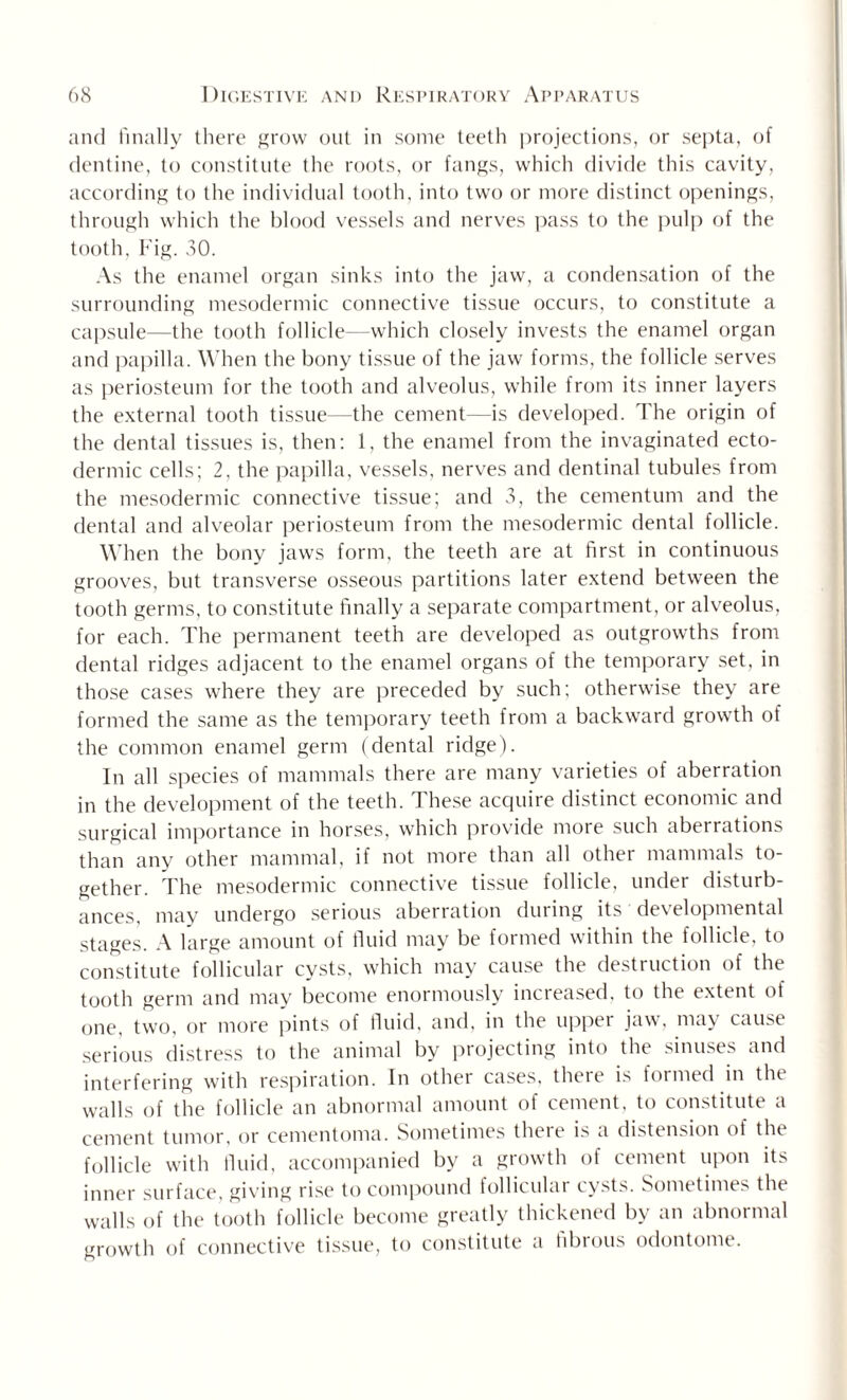 and finally there grow out in some teeth projections, or septa, of dentine, to constitute the roots, or fangs, which divide this cavity, according to the individual tooth, into two or more distinct openings, through which the blood vessels and nerves pass to the pulp of the tooth, Fig. 30. As the enamel organ sinks into the jaw, a condensation of the surrounding mesodermic connective tissue occurs, to constitute a capsule—the tooth follicle—which closely invests the enamel organ and papilla. When the bony tissue of the jaw forms, the follicle serves as periosteum for the tooth and alveolus, while from its inner layers the external tooth tissue—the cement—is developed. The origin of the dental tissues is, then: 1, the enamel from the invaginated ecto¬ dermic cells; 2, the papilla, vessels, nerves and dentinal tubules from the mesodermic connective tissue; and 3, the cementum and the dental and alveolar periosteum from the mesodermic dental follicle. When the bony jaws form, the teeth are at first in continuous grooves, but transverse osseous partitions later extend between the tooth germs, to constitute finally a separate compartment, or alveolus, for each. The permanent teeth are developed as outgrowths from dental ridges adjacent to the enamel organs of the temporary set, in those cases where they are preceded by such; otherwise they are formed the same as the temporary teeth from a backward growth of the common enamel germ (dental ridge). In all species of mammals there are many varieties of aberration in the development of the teeth, d hese acquire distinct economic and surgical importance in horses, which provide more such aberrations than any other mammal, if not more than all other mammals to¬ gether. The mesodermic connective tissue follicle, under disturb¬ ances, may undergo serious aberration during its developmental stages. A large amount of fluid may be formed within the follicle, to constitute follicular cysts, which may cause the destruction of the tooth germ and may become enormously increased, to the extent of one, two, or more pints of fluid, and, in the upper jaw, may cause serious distress to the animal by projecting into the sinuses and interfering with respiration. In othei cases, theie is formed in the walls of the follicle an abnormal amount of cement, to constitute a cement tumor, or cementoma. Sometimes there is a distension of the follicle with fluid, accompanied by a growth of cement upon its inner surface, giving rise to compound follicular cysts. Sometimes the walls of the tooth follicle become greatly thickened by an abnormal growth of connective tissue, to constitute a iibious odontome.