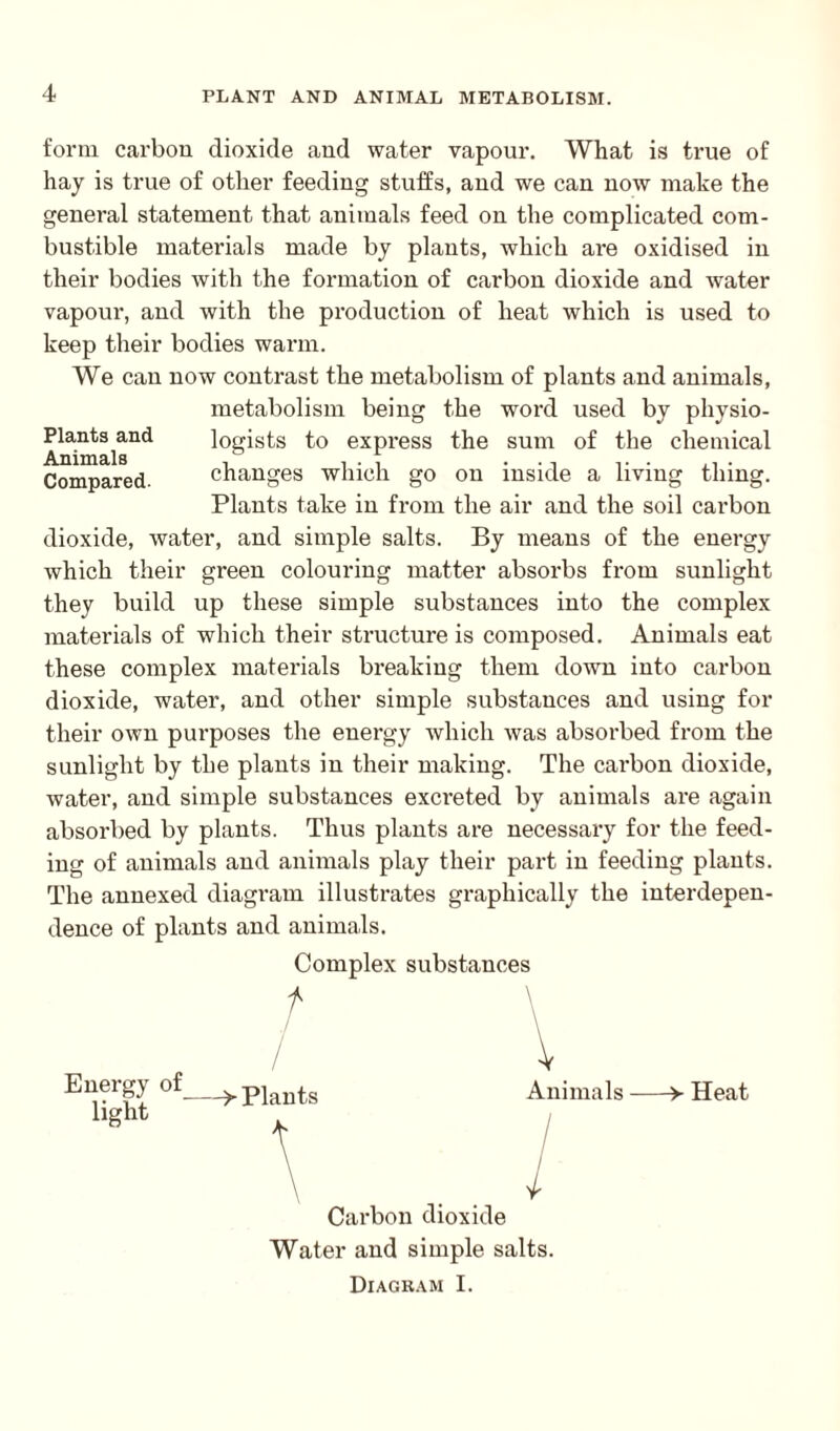 form carbon dioxide and water vapour. What is true of hay is true of other feeding stuffs, and we can now make the general statement that animals feed on the complicated com¬ bustible materials made by plants, which are oxidised in their bodies with the formation of carbon dioxide and water vapour, and with the production of heat which is used to keep their bodies warm. We can now contrast the metabolism of plants and animals, metabolism being the word used by pliysio- Plants and logists to express the sum of the chemical Animals . ... . , ... ... Compared. changes which go on inside a living thing. Plants take in from the air and the soil carbon dioxide, water, and simple salts. By means of the energy which their green colouring matter absorbs from sunlight they build up these simple substances into the complex materials of which their structure is composed. Animals eat these complex materials breaking them down into carbon dioxide, water, and other simple substances and using for their own purposes the energy which was absorbed from the sunlight by the plants in their making. The carbon dioxide, water, and simple substances excreted by animals are again absorbed by plants. Thus plants are necessary for the feed¬ ing of animals and animals play their part in feeding plants. The annexed diagram illustrates graphically the interdepen¬ dence of plants and animals. Complex substances t Energy of light -->■ Plants Animals-> Heat I Carbon dioxide Water and simple salts. Diagram I.