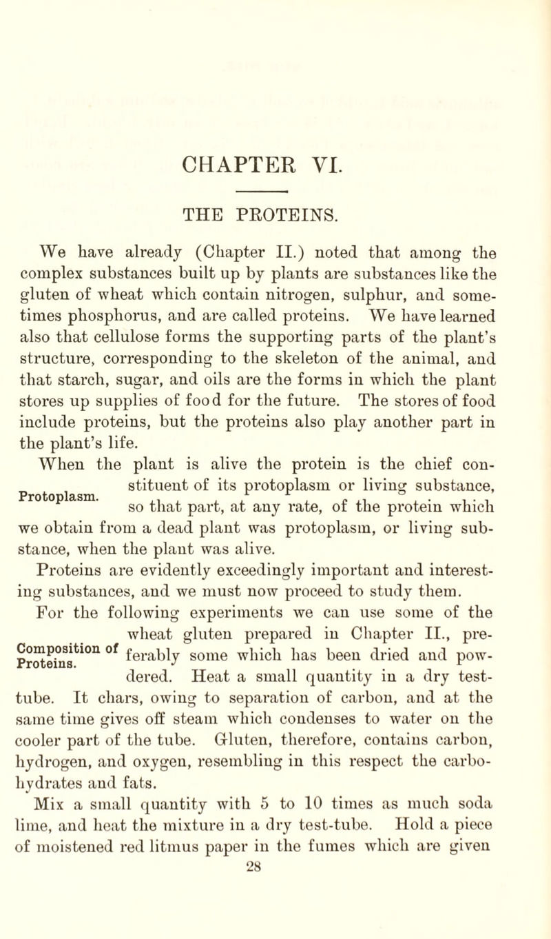 THE PROTEINS. Protoplasm. We have already (Chapter II.) noted that among the complex substances built up by plants are substances like the gluten of wheat which contain nitrogen, sulphur, and some¬ times phosphorus, and are called proteins. We have learned also that cellulose forms the supporting parts of the plant’s structure, corresponding to the skeleton of the animal, and that starch, sugar, and oils are the forms in which the plant stores up supplies of food for the future. The stores of food include proteins, but the proteins also play another part in the plant’s life. When the plant is alive the protein is the chief con¬ stituent of its protoplasm or living substance, so that part, at any rate, of the protein which we obtain from a dead plant was protoplasm, or living sub¬ stance, when the plant was alive. Proteins are evidently exceedingly important and interest¬ ing substances, and we must now proceed to study them. For the following experiments we can use some of the wheat gluten prepai-ed in Chapter II., pre- Proteins^011 °* feraHy some which has been dried and pow¬ dered. Heat a small quantity in a dry test- tube. It chars, owing to sepai-ation of carbon, and at the same time gives off steam which condenses to water on the cooler part of the tube. Gluten, therefore, contains carbon, hydrogen, and oxygen, resembling in this respect the carbo¬ hydrates and fats. Mix a small quantity with 5 to 10 times as much soda lime, and heat the mixture in a dry test-tube. Hold a piece of moistened red litmus paper in the fumes which are given