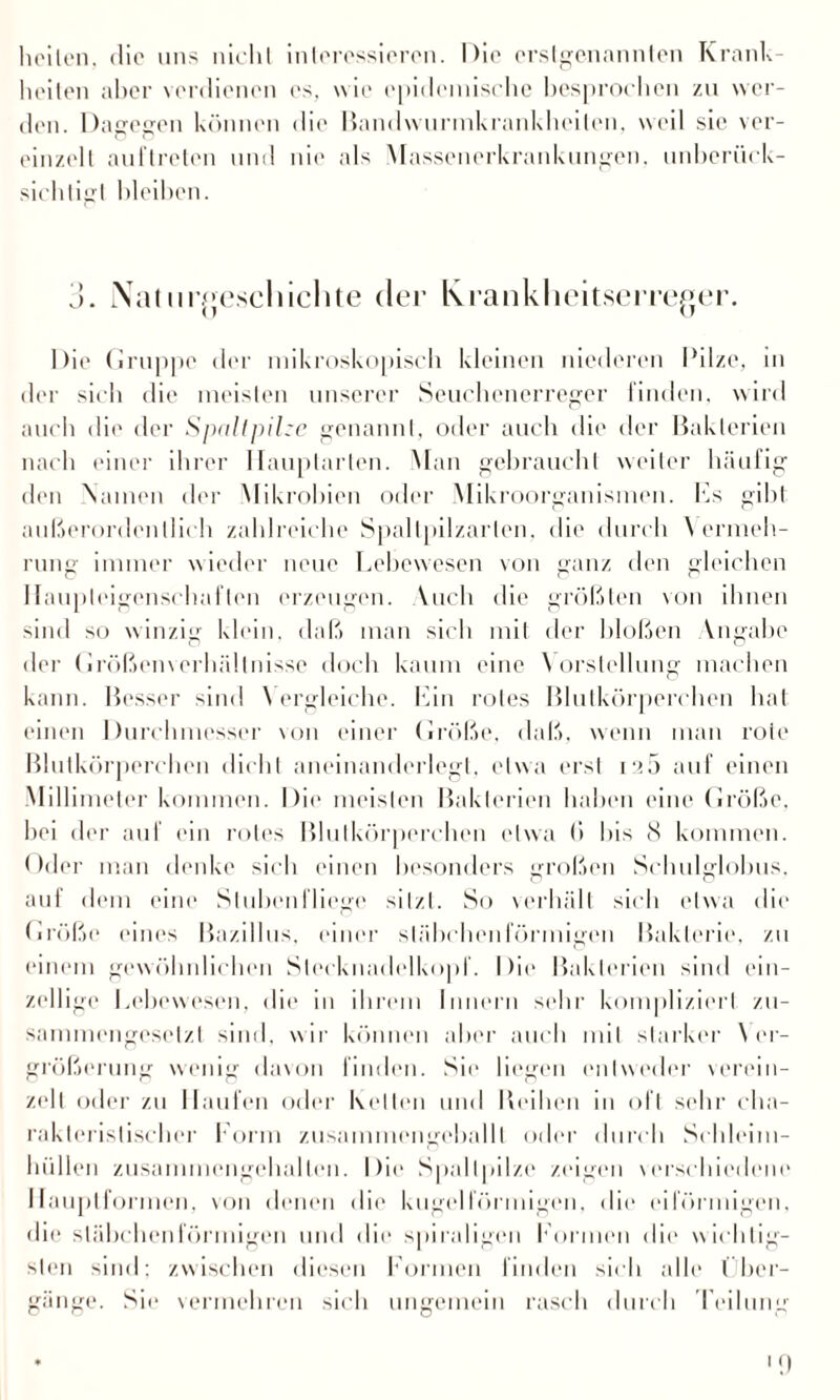 heilen, die uns niehl interessieren. Die erstgenannten Krank¬ heiten aber verdienen es, w ie epidemische besprochen zu wer¬ den. Dagegen können die Bandwurmkrankheilen, weil sie ver¬ einzelt auftreten und nie als Massenerkrankungen, unberück¬ sichtigt bleiben. 3. Naturgeschichte der Krankheitserreger. Die Gruppe der mikroskopisch kleinen niederen Pilze, in der sich die meisten unserer Seuchenerreger finden, wird auch die der Spaltpilze genannt, oder auch die der Bakterien nach einer ihrer Ilauptarlen. Man gebraucht weiter häufig den Namen der Mikrobien oder Mikroorganismen. Es gibt außerordentlich zahlreiche Spallpilzarlen, die durch Vermeh¬ rung immer wieder neue Lebewesen von ganz den gleichen Haupleigenschaflen erzeugen. Auch die größten von ihnen sind so winzig klein, daß man sich mit der bloßen Angabe der (irößenverhältnissc doch kaum eine Vorstellung machen kann. Besser sind V ergleiche. Lin rotes Blutkörperchen hat einen Durchmesser von einer Größe, daß, wenn man rote Blutkörperchen dicht aneinanderlegt, etwa erst ia5 auf einen Millimeter kommen. Die meisten Bakterien haben eine Größe, bei der auf ein rotes Blutkörperchen etwa (> bis 8 kommen. Oder man denke sich einen besonders großen Schulglobus, auf dem eine Stubenfliege sitzt. So verhält sich etwa die Größe eines Bazillus, einer stäbchenförmigen Bakterie, zu einem gewöhnlichen Slecknadelkopf. Die Bakterien sind ein¬ zellige Lebewesen, die in ihrem Innern sehr kompliziert zu¬ sammengesetzt sind, wir können aber auch mit starker Ver¬ größerung wenig davon finden. Sie liegen entweder verein¬ zelt oder zu Haufen oder Kellen und Leihen in oft sehr cha¬ rakteristischer Form zusammengeballt oder durch Scldeim- lnillen zusammengehalten. Die Spaltpilze zeigen verschiedene Ilauplformen, von denen die kugelförmigen, die eiförmigen, die stäbchenförmigen und die spiraligen Formen die wichtig¬ sten sind; zwischen diesen Formen finden sich alle Über¬ gänge. Sie vermehren sich ungemein rasch durch Teilung