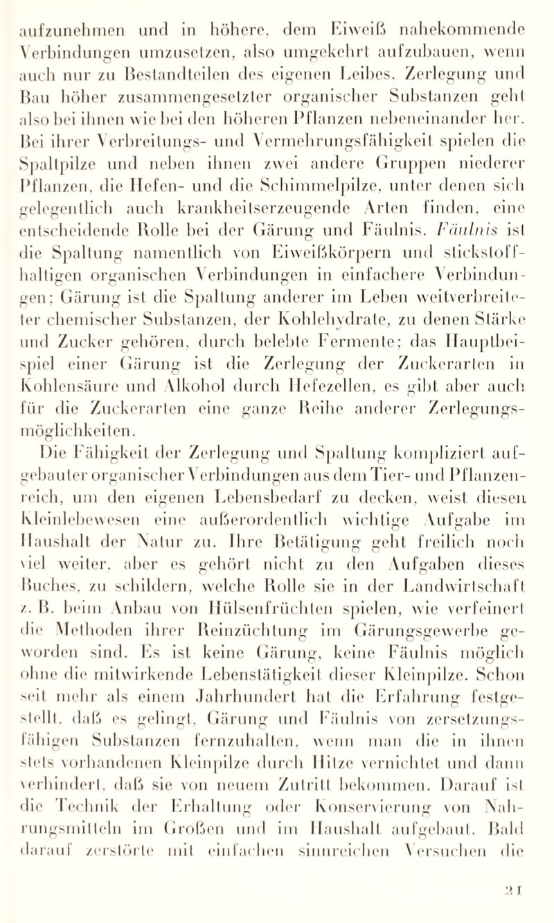 aufzunehmen und in höhere, dem Eiweiß nahekommende Verbindungen umzusetzen, also umgekehrt aufzuhauen, wenn auch nur zu Bestandteilen des eigenen Eeibes. Zerlegung und Bau höher zusammengesetzter organischer Substanzen gehl also bei ihnen wie hei den höheren Pflanzen nebeneinander her. Bei ihrer Yerbreilungs- und Vermehrungsfähigkeit spielen die Spaltpilze und neben ihnen zwei andere Gruppen niederer Pflanzen, die Hefen- und die Schimmelpilze, unter denen sich gelegentlich auch krankheilserzeugende Arten finden, eine entscheidende Rolle bei der Gärung und Fäulnis. Fäulnis ist die Spaltung namentlich von Eiweißkörpern und stickstoff- halligen organischen Verbindungen in einfachere Verbindun¬ gen: Gärung ist die Spaltung anderer im Lehen weitverbreite¬ ter chemischer Substanzen, der Kohlehydrate, zu denen Stärke und Zucker gehören, durch belebte Fermente; das Hauptbei¬ spiel einer Gärung ist die Zerlegung der Zuckerarten in Kohlensäure und Vlkohol durch Hefezellen, es gibt aber auch für die Zuckerarten eine ganze Reihe anderer Zerlegungs¬ möglichkeiten. Die Fähigkeit der Zerlegung und Spaltung kompliziert auf¬ gebauter organischer \ erbindungen aus dem Tier- und Pflanzen¬ reich, um den eigenen Lebensbedarf zu decken, weist diesen Kleinlebewesen eine außerordentlich wichtige Vufgabe im Haushalt der Natur zu. Ihre Betätigung geht freilich noch viel weiter, aber es gehört nicht zu den Aufgaben dieses Buches, zu schildern, welche Rolle sie in der Landwirtschaft /. B. beim \nbau von Hülsenfrüchten spielen, wie verfeinert die Methoden ihrer Reinzüchtung im Gärungsgewerbe ge¬ worden sind. Es ist keine Gärung, keine Fäulnis möglich ohne die mitwirkende Lebenstätigkeit dieser Kleinpilze. Schon seit mehr als einem Jahrhundert hat die Erfahrung festge- slellt. daß es gelingt, Gärung und Fäulnis von zersetzungs¬ fähigen Substanzen fernzuhallen, wenn man die in ihnen stets vorhandenen Kleinpilze durch Hitze vernichtet und dann verhindert, daß sie von neuem Zutritt bekommen. Darauf ist die T eehnik der Erhaltung oder Konservierung von Nah¬ rungsmitteln im Großen und im Haushalt aufgebaut. Bald tiaraul zerstörte mit einfachen sinnreichen \ ersuchen die