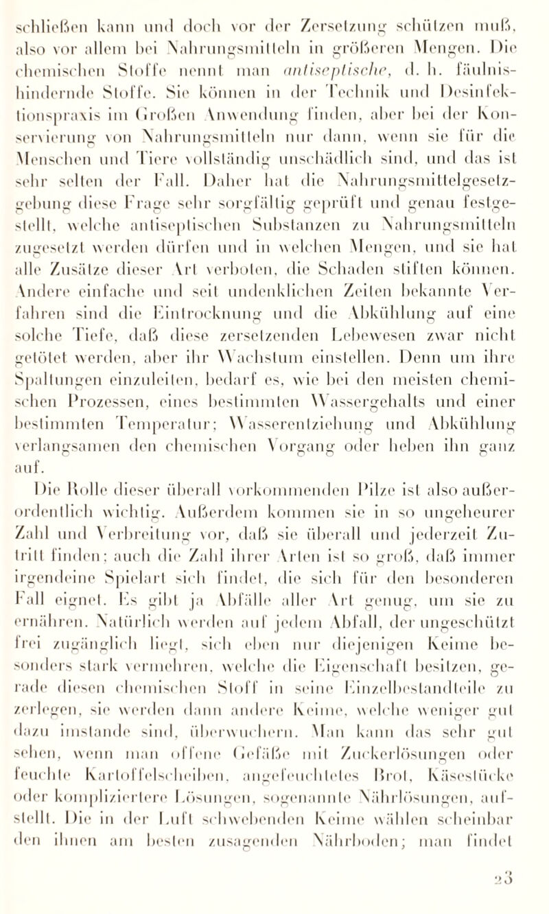 schließen kann und doch vor der Zersetzung schützen muß, also vor allem hei Nahrungsmitteln in größeren Mengen. Die chemischen Stoffe nennt man antiseptische, d. h. fäulnis¬ hindernde Stoffe. Sie können in der Technik und Desinfek¬ tionspraxis im (iroßen Anwendung finden, aber hei der Kon¬ servierung von Nahrungsmitteln nur dann, wenn sie für die Menschen und liere vollständig unschädlich sind, und das ist sehr selten der Fall. Daher hat die Nalmingsmittelgesetz- gebung diese Frage sehr sorgfältig geprüft und genau festge¬ stellt, welche antiseplischen Substanzen zu Nahrungsmitteln zugesetzt werden dürfen und in welchen Mengen, und sie lud alle Zusätze dieser Vrt verboten, die Schaden stiften können. Vndere einfache und seit undenklichen Zeilen bekannte \ er¬ fahren sind die Eintrocknung und die Abkühlung auf eine solche Tiefe, daß diese zersetzenden Lebewesen zwar nicht getötet werden, aber ihr Wachstum einstellen. Denn um ihre Spaltungen einzuleiten, bedarf es, wie hei den meisten chemi¬ schen Prozessen, eines bestimmten Wassergehalts und einer bestimmten Temperatur; Wasserentziehung und Abkühlung verlangsamen den chemischen Vorgang oder heben ihn ganz auf. Die Rolle dieser überall vorkommenden Pilze ist also außer¬ ordentlich wichtig. Außerdem kommen sie in so ungeheurer Zahl und \ erbreilung vor, daß sie überall und jederzeit Zu¬ tritt finden; auch die Zahl ihrer Wien ist so groß, daß immer irgendeine Spielart sich findet, die sich für den besonderen Fall eignet. Fs gibt ja Abfälle aller Vrt genug, um sie zu ernähren. Natürlich werden auf jedem Abfall, der ungeschützt frei zugänglich liegt, sich eben nur diejenigen Keime be¬ sonders stark vermehren, welche die Eigenschaft besitzen, ge¬ rade diesen chemischen Stoff in seine Einzelbeslandleile zu zerlegen, sie werden dann andere Keime, welche weniger gut dazu imstande sind, überwuchern. Man kann das sehr gut sehen, wenn man offene Gefäße mit Zuckerlösungen oder feuchte Karloffelscheiben, angcfeuchletes Rrol, Käseslücke oder kompliziertere Lösungen, sogenannte Nährlösungen, auf- slellt. Die in der Luft schwebenden Keime wählen scheinbar den ihnen am besten zusagenden Nährboden; man findet