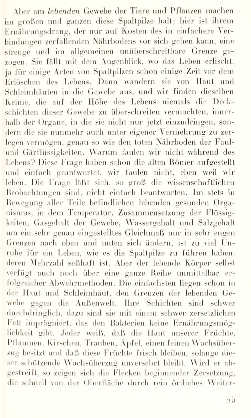 Aber am lebenden Gewebe der Tiere und Pflanzen machen im großen und ganzen diese Spaltpilze halt: hier ist ihrem Ernährungsdrang, der nur auf Kosten des in einfachere \ er- bindungen zerfallenden Nährbodens vor sich gehen kann, eine strenge und im allgemeinen unüberschreitbare Grenze ge¬ zogen. Sie fällt mit dem Augenblick, wo das Lehen erlischt, ja für einige Arten von Spaltpilzen schon einige Zeit vor dem Erlöschen des Lehens. Dann wandern sie von Haut und Schleimhäuten in die Gewebe aus, und wir finden dieselben Keime, die auf der Höhe des Lebens niemals die Deck¬ schichten dieser Gewebe zu überschreiten vermochten, inner¬ halb der Organe, in die sie nicht nur jetzt einzudringen, son¬ dern die sie nunmehr auch unter eigener \ ermehrung zu zer¬ legen vermögen, genau so wie den toten Nährboden der Faul- und Gärflüssigkeiten. Warum faulen wir nicht während des Lehens? Diese Frage haben schon die allen Römer aufgestelll und einfach geantwortet, wir faulen nicht, eben weil wir leben. Die Frage läßt sich, so groß die wissenschaftlichen Beobachtungen sind, nicht einfach beantworten. Im stets in Bewegung aller Teile befindlichen lebenden gesunden Orga¬ nismus, in dem Temperatur, Zusammensetzung der Flüssig¬ keiten, Gasgehalt der Gewebe, Wassergehalt und Salzgehalt um ein sehr genau eingestelltes Gleichmaß nur in sehr engen Grenzen nach oben und unten sich ändern, ist zu viel Un¬ ruhe für ein Leben, wie es die Spaltpilze zu führen haben, deren Mehrzahl seßhaft ist. Vber der lebende Körper seihst verfügt auch noch über eine ganze Reihe unmittelbar er¬ folgreicher Abwehrmethoden. Die einfachsten liegen schon in der Haut und Schleimhaut, den Grenzen der lebenden Ge¬ webe gegen die Außenwelt. Ihre Schichten sind schwer durchdringlich, dazu sind sie mit einem schwer zerselzlichen Fett imprägniert, das den Bakterien keine Frnährungsmög- lichkeit gibt. Jeder weiß, daß die Haut unserer Früchte, Pflaumen. Kirschen, Trauben, Äpfel, einen feinen Wachsüber¬ zug besitzt und daß diese Früchte frisch bleiben, solange die¬ ser schützende Wachsüberzug unversehrt bleibt. Wird er ab¬ gestreift, so zeigen sich die Flecken beginnender Zersetzung, die schnell von der Oberfläche durch rein örtliches Weilcr- .)
