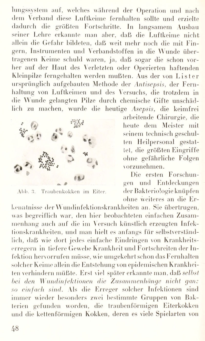 lungssyslem auf, welches während der Operation und nach dem Verband diese Luftkeime fernhalten sollte und erzielte dadurch die größten Fortschritte. In langsamem Ausbau seiner Lehre erkannte man aber, daß die Luftkeime nicht allein die Gefahr bildeten, daß weit mehr noch die mit Fin¬ gern, Instrumenten und Verbandstoffen in die W unde über¬ tragenen Keime schuld waren, ja, daß sogar die schon vor¬ her auf der Haut des V erletzten oder Operierten haftenden Kleinpilze ferngehalten werden mußten. Aus der von List er ursprünglich aufgebauten Methode der Antisepsis, der Fern¬ haltung von Luflkeimen und des Versuchs, die trotzdem in die Wunde gelangten Pilze durch chemische Gifte unschäd¬ lich zu machen, wurde die heutige Asepsis, die keimfrei arbeitende Chirurgie, die beute dem Meister mit seinem technisch geschul¬ ten Heilpersonal gestat¬ tet, die größten Eingriffe ohne gefährliche Folgen vorzunehmen. Die ersten Forschun¬ gen und Entdeckungen der Bakteriologie knüpfen ohne weiteres an die Er¬ kenntnisse der VV undinfeklionskrankheiten an. Sie übertrugen, was begreiflich war, den hier beobachteten einfachen Zusam¬ menhang auch auf die im V ersuch künstlich erzeugten Infek¬ tionskrankheiten, und man hielt es anfangs für selbstverständ¬ lich, daß wie dort jedes einfache Eindringen von Krankheits¬ erregern in liefere Gewebe Krankheit und Forlschreiten der In¬ fektion hervorrufen müsse, u ie umgekehrt schon das Fernhalten solcher Keime allein die Entstehung von epidemischen Krankhei¬ ten verhindern müßte. Erst viel später erkannte man. daß selbst bei den Wundinfektionen die Zusammenhänge nicht ganz so einfach sind. Vis die Erreger solcher Infektionen sind immer wieder besonders zwei bestimmte Gruppen von Bak¬ terien gefunden worden, die Iraubenförmigen Eiterkokken und die kettenförmigen Kokken, deren es viele Spielarten von * * C ' * • «fO » •VC * ft L i Abb. 3. Traubenkokken im Eiter.