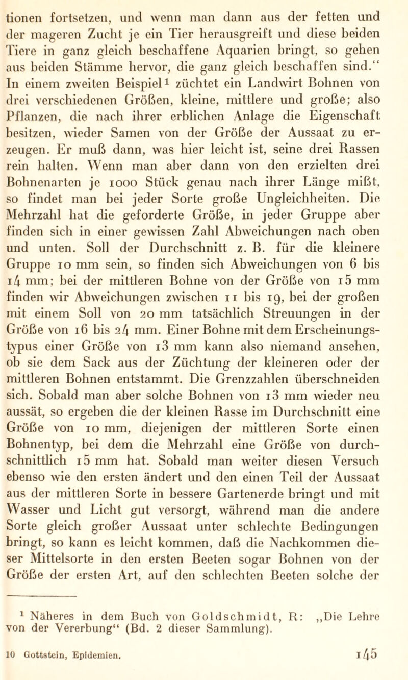 tionen fortsetzen, und wenn man dann aus der fetten und der mageren Zucht je ein Tier herausgreift und diese beiden Tiere in ganz gleich beschaffene Aquarien bringt, so gehen aus beiden Stämme hervor, die ganz gleich beschaffen sind.“ In einem zweiten Beispiel1 züchtet ein Landwirt Bohnen von drei verschiedenen Größen, kleine, mittlere und große; also Pflanzen, die nach ihrer erblichen Anlage die Eigenschaft besitzen, wieder Samen von der Größe der Aussaat zu er¬ zeugen. Er muß dann, was hier leicht ist, seine drei Bassen rein halten. Wenn man aber dann von den erzielten drei Bohnenarten je 1000 Stück genau nach ihrer Länge mißt, so findet man hei jeder Sorte große Ungleichheiten. Die Mehrzahl hat die geforderte Größe, in jeder Gruppe aber finden sich in einer gewissen Zahl Abweichungen nach oben und unten. Soll der Durchschnitt z. B. für die kleinere Gruppe io mm sein, so finden sich Abweichungen von 6 bis 14 mm; hei der mittleren Bohne von der Größe von i5 mm finden wir Abweichungen zwischen n bis 19, bei der großen mit einem Soll von 20 mm tatsächlich Streuungen in der Größe von 16 bis 24 mm. Einer Bohne mit dem Erscheinungs¬ typus einer Größe von i3 mm kann also niemand ansehen, ob sie dem Sack aus der Züchtung der kleineren oder der mittleren Bohnen entstammt. Die Grenzzahlen überschneiden sich. Sobald man aber solche Bohnen von i3 mm wieder neu aussät, so ergeben die der kleinen Rasse im Durchschnitt eine Größe von 10 mm, diejenigen der mittleren Sorte einen Bohnentyp, bei dem die Mehrzahl eine Größe von durch¬ schnittlich i5 mm hat. Sobald man weiter diesen Versuch ebenso wie den ersten ändert und den einen Teil der Aussaat aus der mittleren Sorte in bessere Gartenerde bringt und mit Wasser und Licht gut versorgt, während man die andere Sorte gleich großer Aussaat unter schlechte Bedingungen bringt, so kann es leicht kommen, daß die Nachkommen die¬ ser Mittelsorte in den ersten Beeten sogar Bohnen von der Größe der ersten Art, auf den schlechten Beeten solche der 1 Näheres in dem Buch von Goldschmidt, R: „Die Lehre von der Vererbung“ (Bd. 2 dieser Sammlung). i45 10 Gottstein, Epidemien.