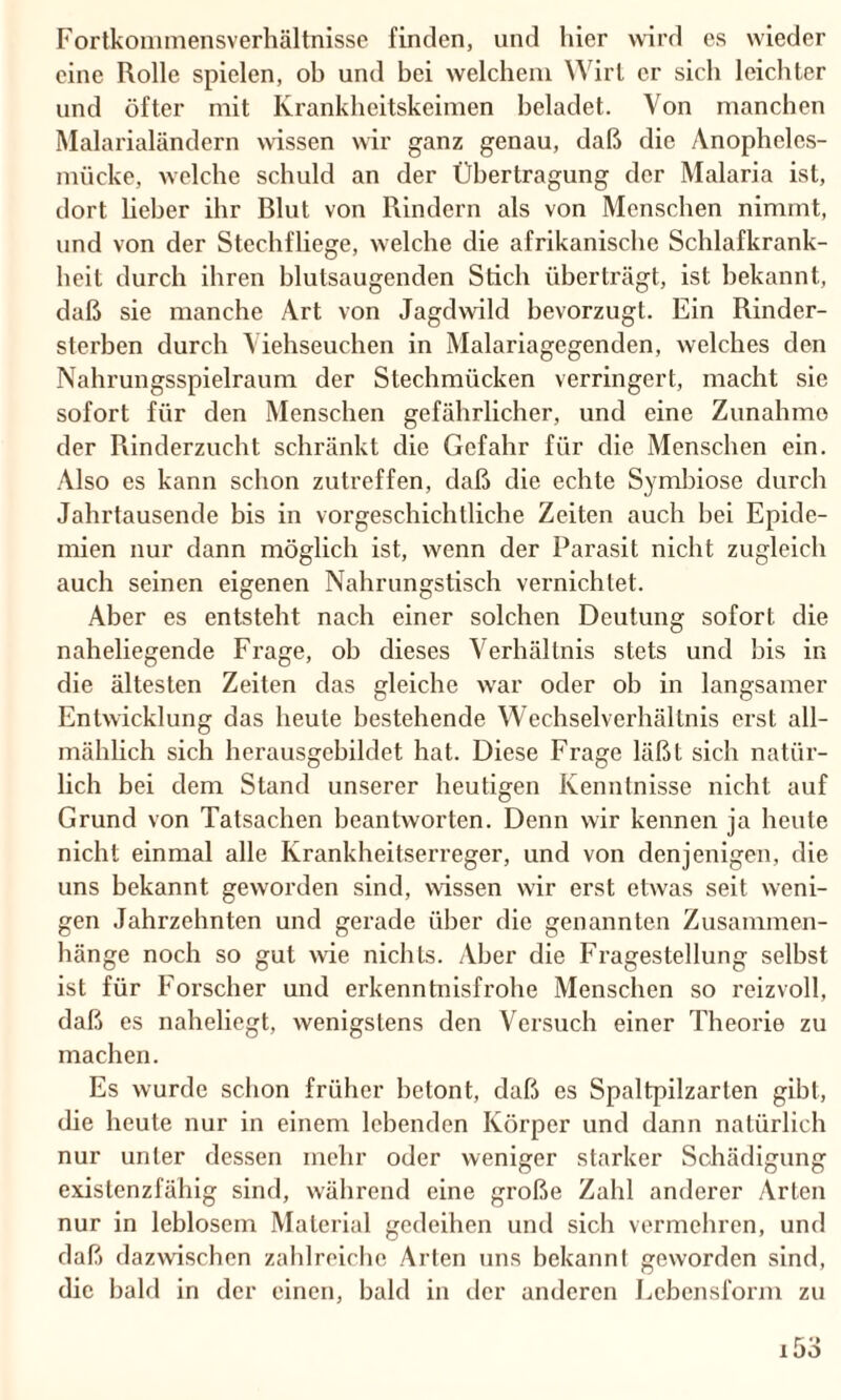 Fortkommensverhältnisse finden, und hier wird es wieder eine Rolle spielen, oh und bei welchem Wirt er sich leichter und öfter mit Krankheitskeimen beladet. Von manchen Malarialändern wissen wir ganz genau, daß die Anophcles- mücke, welche schuld an der Übertragung der Malaria ist, dort lieber ihr Blut von Rindern als von Menschen nimmt, und von der Stechfliege, welche die afrikanische Schlafkrank¬ heit durch ihren blutsaugenden Stich überträgt, ist bekannt, daß sie manche Art von Jagdwild bevorzugt. Ein Rinder¬ sterben durch Viehseuchen in Malariagegenden, welches den Nahrungsspielraum der Stechmücken verringert, macht sie sofort für den Menschen gefährlicher, und eine Zunahme der Rinderzucht schränkt die Gefahr für die Menschen ein. Also es kann schon zutreffen, daß die echte Symbiose durch Jahrtausende bis in vorgeschichtliche Zeiten auch bei Epide¬ mien nur dann möglich ist, wenn der Parasit nicht zugleich auch seinen eigenen Nahrungstisch vernichtet. Aber es entsteht nach einer solchen Deutung sofort die naheliegende Frage, ob dieses Verhältnis stets und bis in die ältesten Zeiten das gleiche war oder ob in langsamer Entwicklung das heute bestehende Wechselverhältnis erst all¬ mählich sich herausgehildet hat. Diese Frage läßt sich natür¬ lich bei dem Stand unserer heutigen Kenntnisse nicht auf Grund von Tatsachen beantworten. Denn wir kennen ja heute nicht einmal alle Krankheitserreger, und von denjenigen, die uns bekannt geworden sind, wissen wir erst etwas seit weni¬ gen Jahrzehnten und gerade über die genannten Zusammen¬ hänge noch so gut wie nichts. Aber die Fragestellung selbst ist für Forscher und erkenntnisfrohe Menschen so reizvoll, daß cs naheliegt, wenigstens den Versuch einer Theorie zu machen. Es wurde schon früher betont, daß es Spaltpilzarten gibt, die heute nur in einem lebenden Körper und dann natürlich nur unter dessen mehr oder weniger starker Schädigung existenzfähig sind, während eine große Zahl anderer Arten nur in leblosem Material gedeihen und sich vermehren, und daß dazwischen zahlreiche Arten uns bekannt geworden sind, die bald in der einen, bald in der anderen Lebensform zu i53