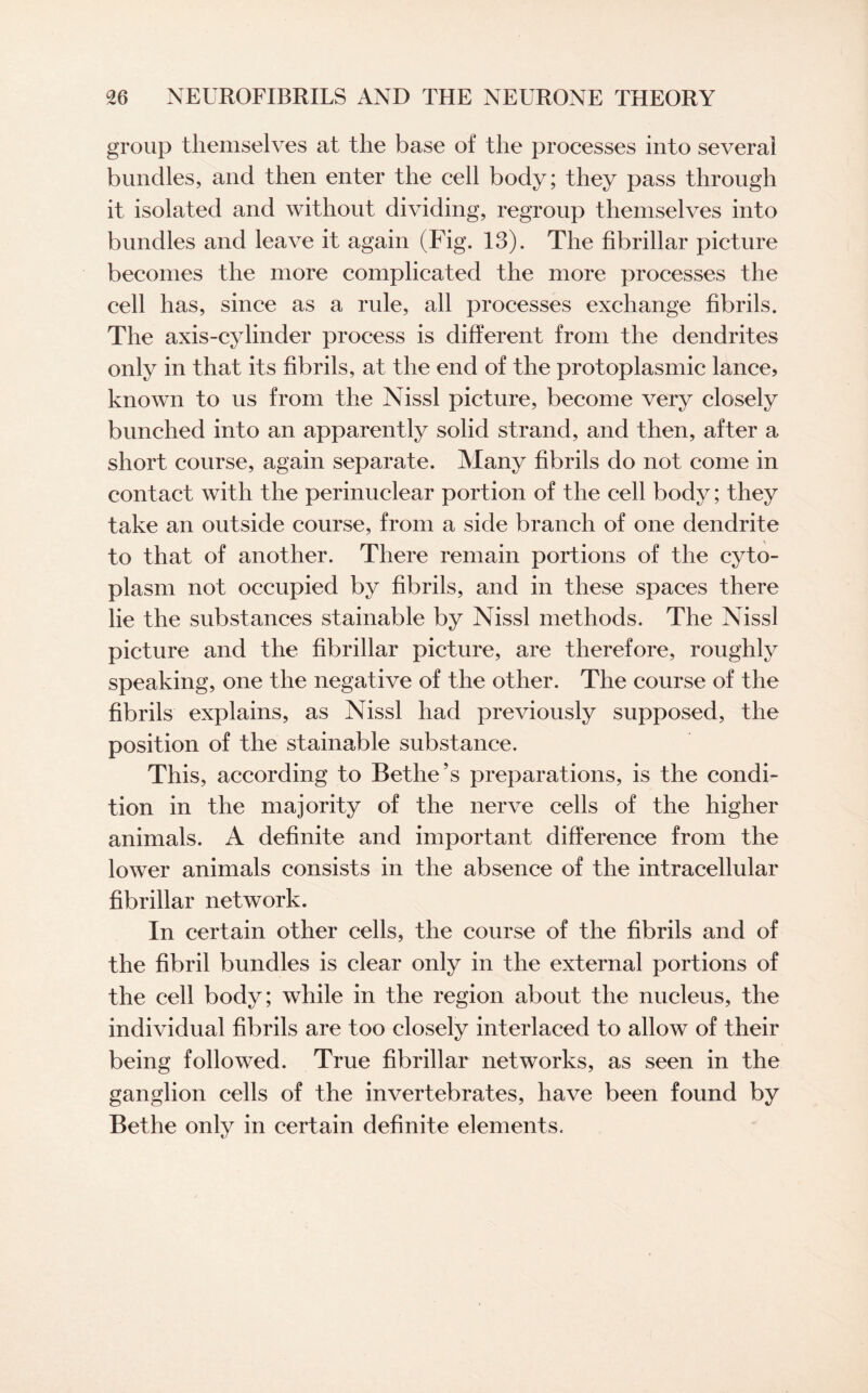 group themselves at the base of the processes into several bundles, and then enter the cell body; they pass through it isolated and without dividing, regroup themselves into bundles and leave it again (Fig. 13). The fibrillar picture becomes the more complicated the more processes the cell has, since as a rule, all processes exchange fibrils. The axis-cylinder process is different from the dendrites only in that its fibrils, at the end of the protoplasmic lance, known to us from the Nissl picture, become very closely bunched into an apparently solid strand, and then, after a short course, again separate. Many fibrils do not come in contact with the perinuclear portion of the cell body; they take an outside course, from a side branch of one dendrite to that of another. There remain portions of the cyto¬ plasm not occupied by fibrils, and in these spaces there lie the substances stainable by Nissl methods. The Nissl picture and the fibrillar picture, are therefore, roughly speaking, one the negative of the other. The course of the fibrils explains, as Nissl had previously supposed, the position of the stainable substance. This, according to Bethe’s preparations, is the condi¬ tion in the majority of the nerve cells of the higher animals. A definite and important difference from the lower animals consists in the absence of the intracellular fibrillar network. In certain other cells, the course of the fibrils and of the fibril bundles is clear only in the external portions of the cell body; while in the region about the nucleus, the individual fibrils are too closely interlaced to allow of their being followed. True fibrillar networks, as seen in the ganglion cells of the invertebrates, have been found by Bethe only in certain definite elements.