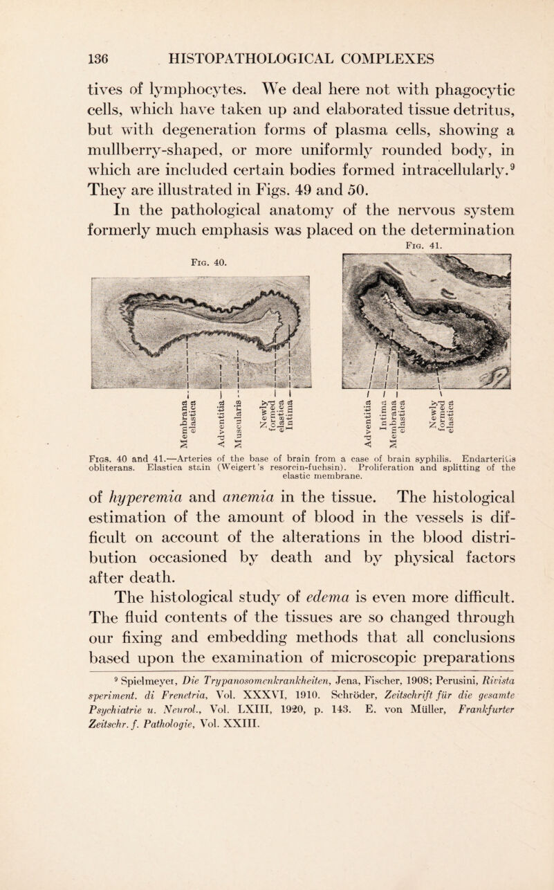 lives of lymphocytes. We deal here not with phagocytic cells, which have taken up and elaborated tissue detritus, but with degeneration forms of plasma cells, showing a mullberry-shaped, or more uniformly rounded body, in which are included certain bodies formed intracellularly.9 They are illustrated in Figs. 49 and 50. In the pathological anatomy of the nervous system formerly much emphasis was placed on the determination Fig. 41. Figs. 40 and 41.—Arteries of the base of brain from a case of brain syphilis. Endarteritis obliterans. Elastica stain (Weigert’s resorcin-fuchsin). Proliferation and splitting of the elastic membrane. of hyperemia and anemia in the tissue. The histological estimation of the amount of blood in the vessels is dif¬ ficult on account of the alterations in the blood distri¬ bution occasioned by death and by physical factors after death. The histological study of edema is even more difficult. The fluid contents of the tissues are so changed through our fixing and embedding methods that all conclusions based upon the examination of microscopic preparations 9 Spiel meyer, Die Trypanosomenkrankheiten, Jena, Fischer, 1908; Perusini, Rivista speriment. di Frenetria, Vol. XXXVI, 1910. Schroder, Zeitschrift fur die gesamte Psychiatrie u. Neurol., Vol. LXIII, 1920, p. 143. E. von Muller, Frankfurter Zeitschr.f. Pathologie, Vol. XXIII.