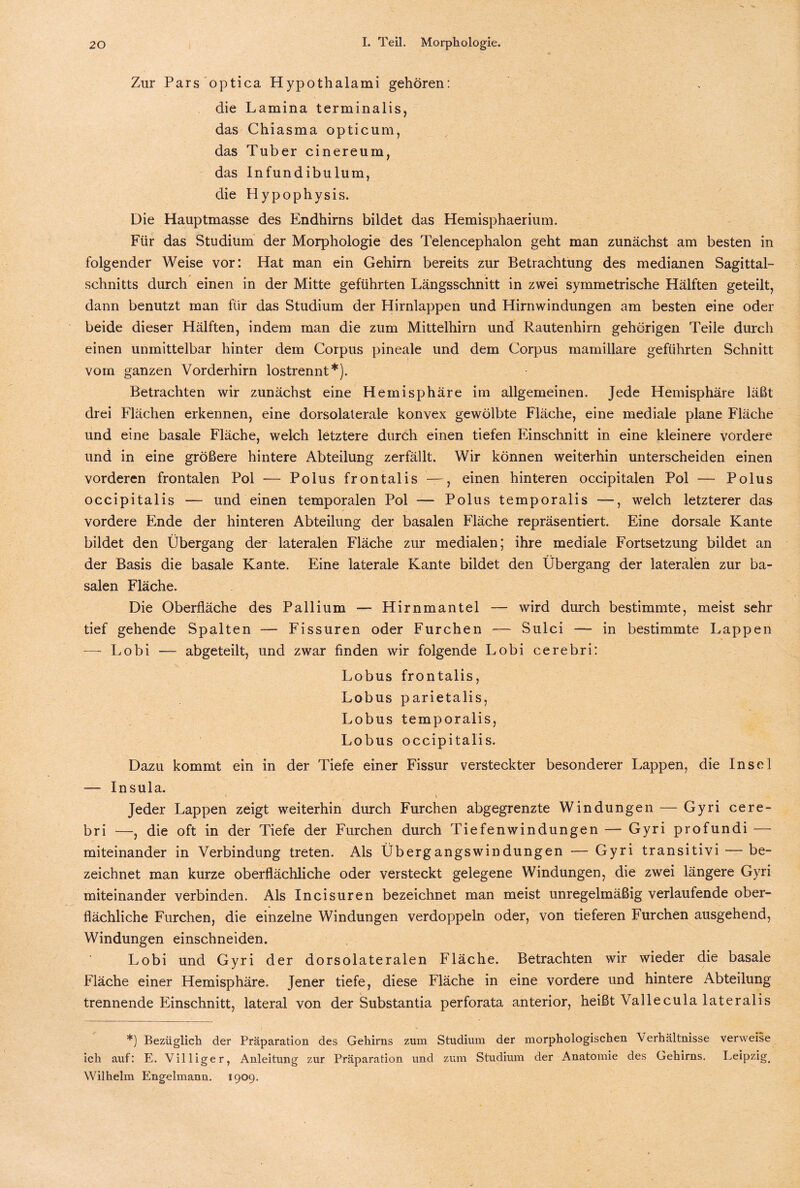 Zur Pars optica Hypothalami gehören: die Lamina terminalis, das Chiasma opticum, das Tuber cinereum, das Infundibulum, die Hypophysis. Die Hauptmasse des Endhirns bildet das Hemisphaerium. Für das Studium der Morphologie des Telencephalon geht man zunächst am besten in folgender Weise vor: Hat man ein Gehirn bereits zur Betrachtung des medianen Sagittal- schnitts durch einen in der Mitte geführten Längsschnitt in zwei symmetrische Hälften geteilt, dann benutzt man für das Studium der Hirnlappen und Hirnwindungen am besten eine oder beide dieser Hälften, indem man die zum Mittelhirn und Rautenhirn gehörigen Teile durch einen unmittelbar hinter dem Corpus pineale und dem Corpus mamillare geführten Schnitt vom ganzen Vorderhirn lostrennt*). Betrachten wir zunächst eine Hemisphäre im allgemeinen. Jede Hemisphäre läßt drei Flächen erkennen, eine dorsolaterale konvex gewölbte Fläche, eine mediale plane Fläche und eine basale Fläche, welch letztere durch einen tiefen Einschnitt in eine kleinere vordere und in eine größere hintere Abteilung zerfällt. Wir können weiterhin unterscheiden einen vorderen frontalen Pol — Polus frontalis —, einen hinteren occipitalen Pol — Polus occipitalis — und einen temporalen Pol — Polus temporalis —welch letzterer das vordere Ende der hinteren Abteilung der basalen Fläche repräsentiert. Eine dorsale Kante bildet den Übergang der lateralen Fläche zur medialen; ihre mediale Fortsetzung bildet an der Basis die basale Kante. Eine laterale Kante bildet den Übergang der lateralen zur ba¬ salen Fläche. Die Oberfläche des Pallium — Hirnmantel — wird durch bestimmte, meist sehr tief gehende Spalten — Fissuren oder Furchen — Sulci — in bestimmte Lappen — Lobi — abgeteilt, und zwar finden wir folgende Lobi cerebri: Lobus frontalis, Lobus parietalis, Lobus temporalis, Lobus occipitalis. Dazu kommt ein in der Tiefe einer Fissur versteckter besonderer Lappen, die Insel — Insula. Jeder Lappen zeigt weiterhin durch Furchen abgegrenzte Windungen — Gyri cere¬ bri —, die oft in der Tiefe der Furchen durch Tiefenwindungen — Gyri profundi — miteinander in Verbindung treten. Als Übergangswindüngen — Gyri transitivi — be¬ zeichnet man kurze oberflächliche oder versteckt gelegene Windungen, die zwei längere Gyri miteinander verbinden. Als Incisuren bezeichnet man meist unregelmäßig verlaufende ober¬ flächliche Furchen, die einzelne Windungen verdoppeln oder, von tieferen Furchen ausgehend, Windungen einschneiden. Lobi und Gyri der dorsolateralen Fläche. Betrachten wir wieder die basale Fläche einer Hemisphäre. Jener tiefe, diese Fläche in eine vordere und hintere Abteilung trennende Einschnitt, lateral von der Substantia perforata anterior, heißt Vallecula lateralis *) Bezüglich der Präparation des Gehirns zum Studium der morphologischen Verhältnisse verweise ich auf: E. Villiger, Anleitung zur Präparation und zum Studium der Anatomie des Gehirns. Leipzig. Wilhelm Engelmann. 1909.