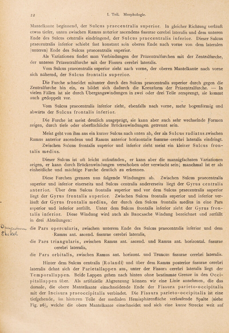 Mantelkante beginnend, der Sulcus praecentralis superior. In gleicher Richtung verläuft etwas tiefer, unten zwischen Ramus anterior ascendens fissurae cerebri lateralis und dem unteren Ende des Sulcus centralis eindringend, der Sulcus praecentralis inferior. Dieser Sulcus praecentralis inferior schiebt fast konstant sein oberes Ende nach vorne von dem lateralen (unteren) Ende des Sulcus praecentralis superior. Als Variationen findet man Verbindungen der Präzentralfurchen mit der Zentralfurche, der unteren Präzentralfurche mit der Fissura cerebri lateralis. Vom Sulcus praecentralis superior zieht nach vorne, der oberen Mantelkante nach vorne sich nähernd, der Sulcus frontalis superior. Die Furche schneidet mitunter durch den Sulcus praecentralis superior durch gegen die Zentralfurche hin ein, es bildet sich dadurch die Kreuzform der Präzentralfurche. — In vielen Fällen ist sie durch Übergangswindungen in zwei oder drei Teile zersprengt, sie kommt auch gedoppelt vor. Vom Sulcus praecentralis inferior zieht, ebenfalls nach vorne, mehr bogenförmig und abwärts der Sulcus frontalis inferior. Die Furche ist meist deutlich ausgeprägt, sie kann aber auch sehr wechselnde Formen zeigen, durch tiefe oder oberflächliche Brückenwindungen getrennt sein. Meist geht von ihm aus ein kurzer Sulcus nach unten ab, der als Sulcus radiatus zwischen Ramus anterior ascendens und Ramus anterior horizontalis fissurae cerebri lateralis eindringt. Zwischen Sulcus frontalis superior und inferior zieht meist ein kleiner Sulcus fron¬ talis medius. Dieser Sulcus ist oft leicht aufzufinden, er kann aber die mannigfachsten Variationen zeigen, er kann durch Brückenwindungen verschoben oder verwischt sein; manchmal ist er als einheitliche und mächtige Furche deutlich zu erkennen. Diese Furchen grenzen nun folgende Windungen ab. Zwischen Sulcus praecentralis superior und inferior einerseits und Sulcus centralis andererseits liegt der Gyrus centralis anterior. Über dem Sulcus frontalis superior und vor dem Sulcus praecentralis superior liegt der Gyrus frontalis superior. Zwischen Sulcus frontalis superior und inferior ver- * läuft der Gyrus frontalis medius, der durch den Sulcus frontalis medius in eine Pars superior und inferior zerfällt. Unter dem Sulcus frontalis inferior zieht der Gyrus fron¬ talis inferior. Diese Windung wird auch als BROCASche Windung bezeichnet und zerfällt in drei Abteilungen: die Pars opercularis, zwischen unterem Ende des Sulcus praecentralis inferior und dem Ramus ant. ascend. fissurae cerebri lateralis, die Pars triangularis, zwischen Ramus ant. ascend. und Ramus ant. horizontal, fissurae cerebri lateralis, die Pars orbitalis, zwischen Ramus ant. horizont. und Truncus fissurae cerebri lateralis. Hinter dem Sulcus centralis (Rolandi) und über dem Ramus posterior fissurae cerebri lateralis dehnt sich der Parietallappen aus, unter der Fissura cerebri lateralis liegt der Temporallappen. Beide Lappen gehen nach hinten ohne bestimmte Grenze in den Occi- pitallappen über. Als artifizielle Abgrenzung können wir eine Linie annehmen, die das dorsale, die obere Mantelkante einschneidende Ende der Fissura parieto-occipitalis mit der Incisura praeoccipitalis verbindet. Die Fissura parieto-occipitalis ist eine tiefgehende, im hinteren Teile der medialen Hemisphärenfläche verlaufende Spalte (siehe Fig. 26), welche die obere Mantelkante einschneidet und sich eine kurze Strecke weit auf