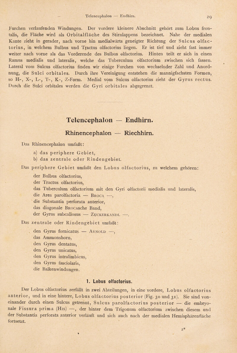 Furchen verlaufenden Windungen. Der vordere kleinere Abschnitt gehört zum Lobus fron- talis, die Fläche wird als Orbitalfläche des Stirnlappens bezeichnet. Nahe der medialen Kante zieht in gerader, nach vorne hin medialwärts geneigter Richtung der Sulcus olfac¬ torius, in welchem Bulbus und Tractus olfactorius liegen. Er ist tief und zieht fast immer weiter nach vorne als das Vorderende des Bulbus olfactorius. Hinten teilt er sich in einen Ramus medialis und lateralis, welche das Tuberculum olfactorium zwischen sich fassen. Lateral vom Sulcus olfactorius finden wir einige Furchen von wechselnder Zahl und Anord¬ nung, die Sulci orbitales. Durch ihre Vereinigung entstehen die mannigfachsten Formen, so H-, X-, L-, T-, K-, Z-Form. Medial vom Sulcus olfactorius zieht der Gyrus rectus. Durch die Sulci orbitales werden die Gyri orbitales abgegrenzt. Telencephalon — Endhirn. Rhinencephalon — Riechhirn. Das Rhinencephalon umfaßt: a) das periphere Gebiet, b) das zentrale oder Rindengebiet. Das periphere Gebiet umfaßt den Lobus olfactorius, zu welchem gehören: der Bulbus olfactorius, der Tractus olfactorius, das Tuberculum olfactorium mit den Gyri olfactorii medialis und lateralis, die Area parolfactoria —■ Broca —•, die Substantia perforata anterior, das diagonale BROCAsche Band, der Gyrus subcallosus — Zuckerkandl Das zentrale oder Rindengebiet umfaßt: den Gyrus fornicatus — Arnold —, das Ammonshorn, den Gyrus dentatus, den Gyrus unicatus, \ den Gyrus intralimbicus, den Gyrus fasciolaris, die Balkenwindungen. 1. Lobus olfactorius. Der Lobus olfactorius zerfällt in zwei Abteilungen, in eine vordere, Lobus olfactorius anterior, und in eine hintere, Lobus olfactorius posterior (Fig. 30 und 31). Sie sind von¬ einander durch einen Sulcus getrennt, Sulcus parolfactorius posterior — die embryo¬ nale Fissura prima (His) —, der hinter dem Trigonum olfactorium zwischen diesem und der Substantia perforata anterior verläuft und sich auch nach der medialen Hemisphärenfläche fortsetzt.