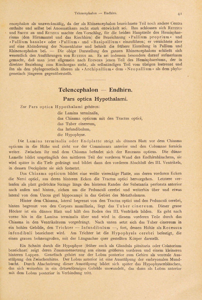 encephalon als unzweckmäßig, da der als Rhinencephalon bezeichnete Teil noch andere Centra enthalte und selbst bei Anosmatikern recht stark entwickelt sei. Ihm schlossen sich Retzius und Smith an und Retzius machte den Vorschlag, für die beiden Hauptteile des Hemisphae- riums (den Hirnmantel und das Riechhirn) die Bezeichnung »Pallium proprium« und »Pallium basale« oder »Pallium« und »Basipallium« einzuführen; er verzichtete aber auf eine Abänderung der Nomenklatur und behielt die frühere Einteilung in Pallium und Rhinencephalon bei. — Die obige Darstellung des ganzen Rhinencephalons schließt sich wesentlich den Ausführungen von Retzius an. Es sei indessen besonders darauf aufmerksam gemacht, daß man jetzt allgemein nach Edinger jenen Teil des Hemisphaeriums, der in direkter Beziehung zum Riechorgan steht, als selbständigen Teil vom übrigen lostrennt und ihn als den phylogenetisch älteren als »Archipallium« dem »Neopallium« als dem phylo¬ genetisch jüngeren gegenüberstellt. Telencephalon — Endhirn. Pars optica Hypothalami. Zur Pars optica Hypothalami gehören: die Lamina terminalis, das Chiasma opticum mit den Tractus optici, das Tuber cinereum, das Infundibulum, die Hypophyse. Die Lamina terminalis oder Endplatte steigt als dünnes Blatt vor dem Chiasma opticum in die Höhe und zieht vor der Commissura anterior und den Columnae fornicis weiter. Zwischen ihr und dem Chiasma befindet sich der Recessus opticus. Die dünne Lamelle bildet ursprünglich den mittleren Teil der vorderen Wand des Endhirnbläschens, sie wird später in die Tiefe gedrängt und bildet dann den vorderen Abschluß des III. Ventrikels, in dessen Deckplatte sie sich festsetzt. Das Chiasma opticum bildet eine weiße viereckige Platte, aus deren vorderen Ecken die Nervi optici, aus deren hinteren Ecken die Tractus optici hervorgehen. Letztere ver¬ laufen als platt gedrückte Stränge längs des hinteren Randes der Substantia perforata anterior nach außen und hinten, ziehen um die Pedunculi cerebri und weiterhin über und etwas lateral von dem Uncus gyri hippocampi in das Gebiet des Metathalamus. Hinter dem Chiasma, lateral begrenzt von den Tractus optici und den Pedunculi cerebri, hinten begrenzt von den Corpora mamiilaria, liegt das Tuber cinereum. Dieser graue Höcker ist ein dünnes Blatt und hilft den Boden des III. Ventrikels bilden. Es geht nach vorne hin in die Lamina terminalis über und wird in diesem vorderen Teile durch das Chiasma in den Ventrikelraum vorgedrängt. Nach unten setzt sich das Tuber cinereum in ein hohles Gebilde, den Trichter -— Infundibulum —, fort, dessen Höhle als Recessus infundibuli bezeichnet wird. Am Trichter ist die Hypophysis cerebri befestigt, die einen grauen bohnengroßen, mit der Längsachse quer gestellten Körper darstellt. Ein Schnitt durch die Hypophyse (früher auch als Glandula pituitaria oder Colatorium bezeichnet) zeigt deren Zusammensetzung aus einem größeren vorderen und einem kleineren hinteren Lappen. Genetisch gehört nur der Lobus posterior zum Gehirn als ventrale Aus¬ stülpung des Zwischenhirns. Der Lobus anterior ist eine Ausstülpung der embryonalen Mund¬ bucht. Durch Abschnürung dieser Ausstülpung bildet sich später das Hypophysenbläschen, das sich weiterhin in ein drüsenförmiges Gebilde um wandelt, das dann als Lobus anterior mit dem Lobus posterior in Verbindung tritt.